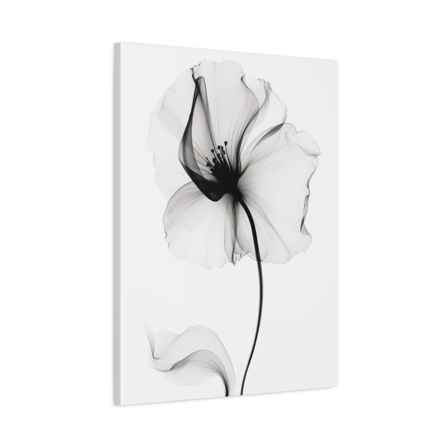 Flower Grey Wall Art & Canvas Prints