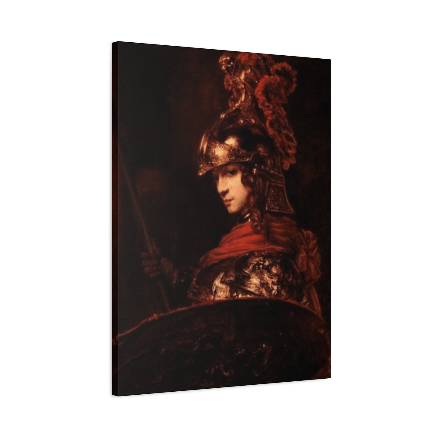 Athena Pallas Wall Art & Canvas Prints