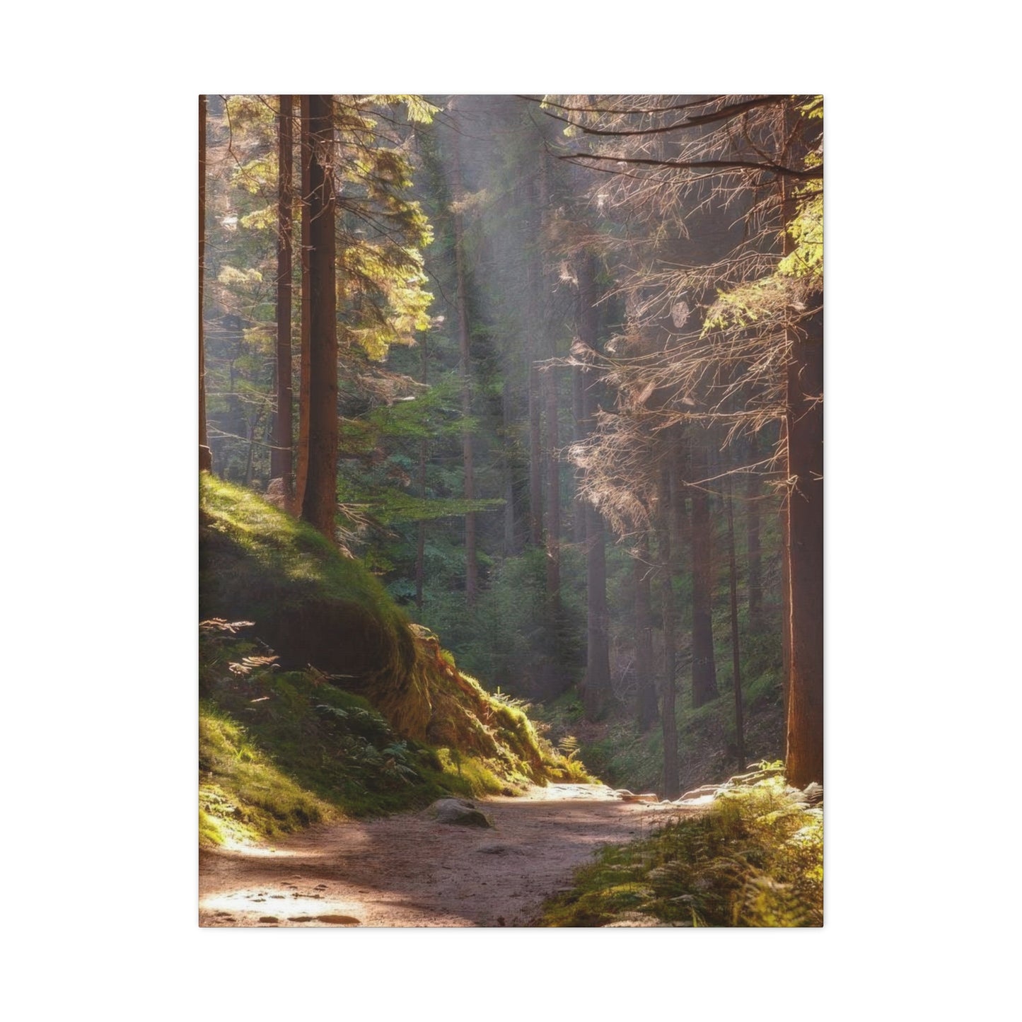 Autumn Forest Path Wall Art & Canvas Prints