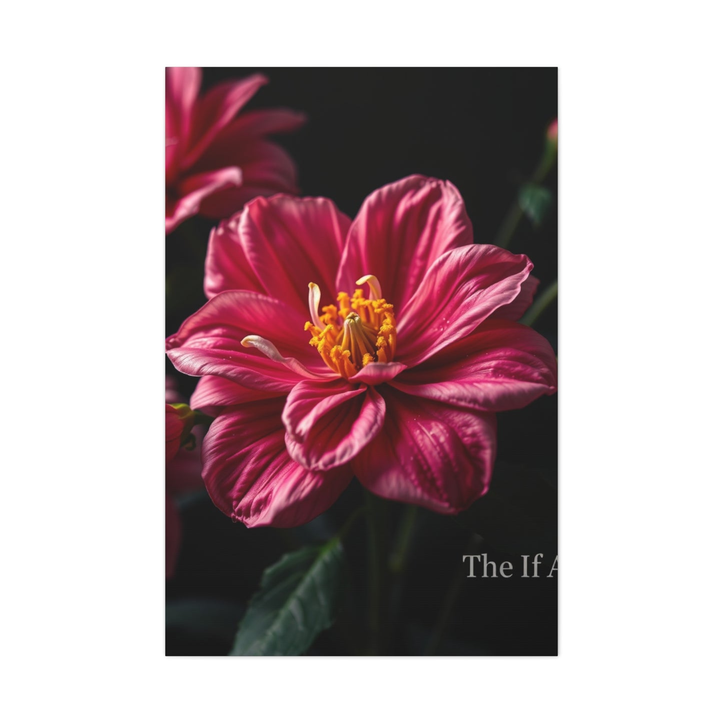 Flower Art Premium Canvas 20 Wall Art & Canvas Print