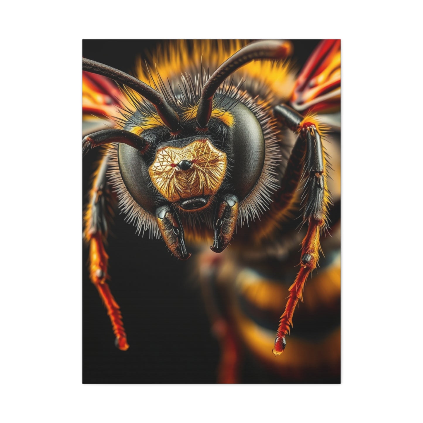 Bees, Hornet & Wasps Art Canvas Art 3 Wall Art & Canvas Print