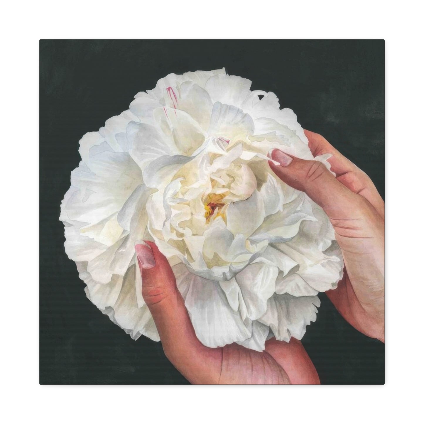 Grace Popp Holding White Flower Wall Art & Canvas Prints