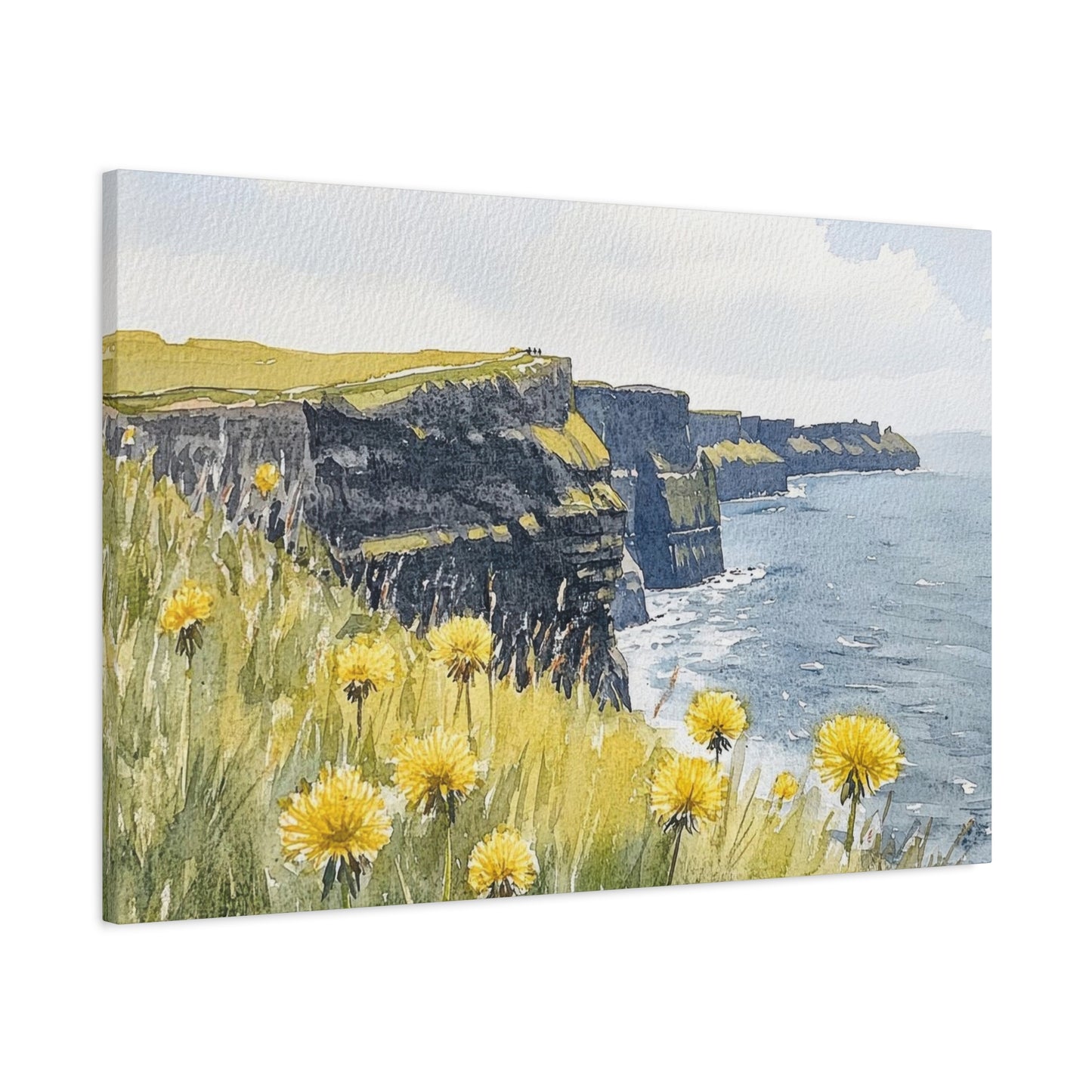 Cliff Of Moher Ireland Wall Art & Canvas Prints