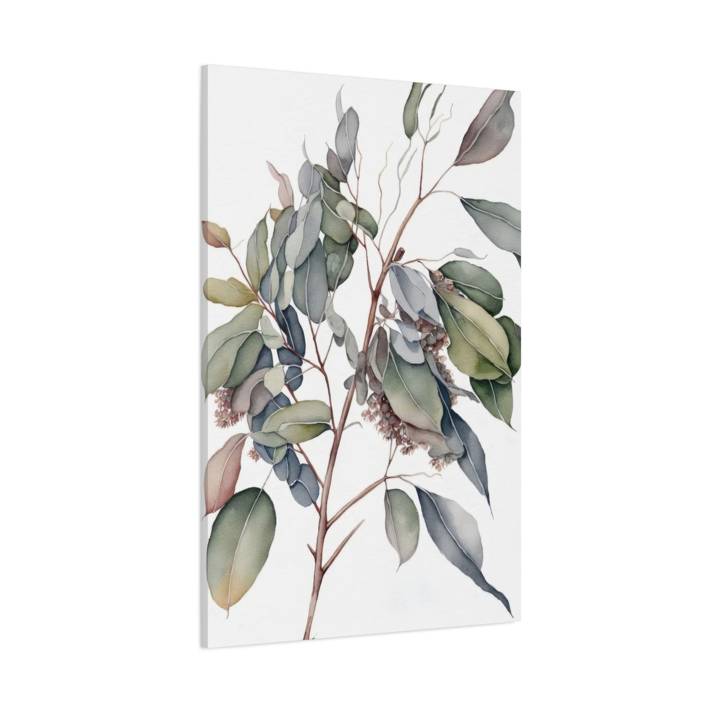 Eucalyptus Australian 2 Wall Art & Canvas Prints