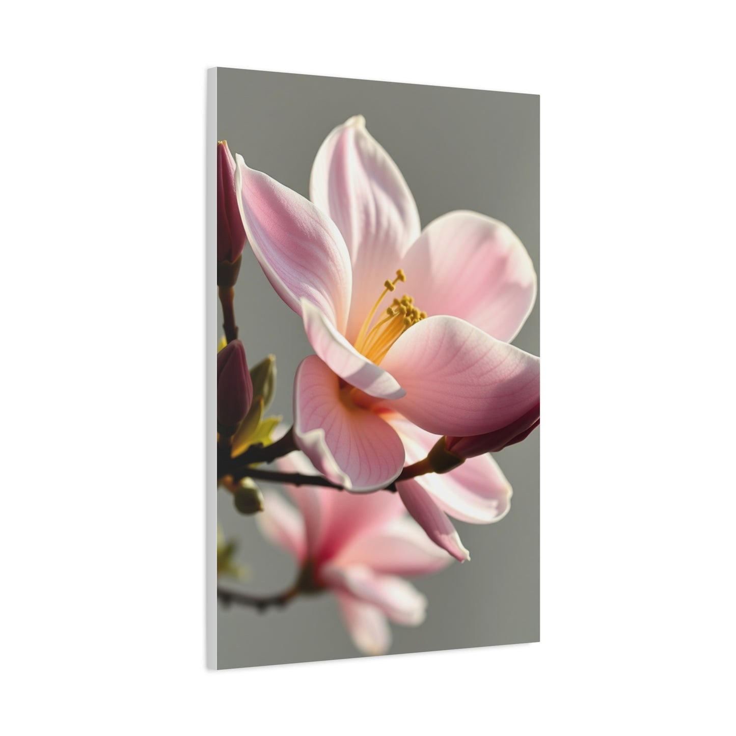 Magnolia Art Luxury Canvas Wall Art & Canvas Print
