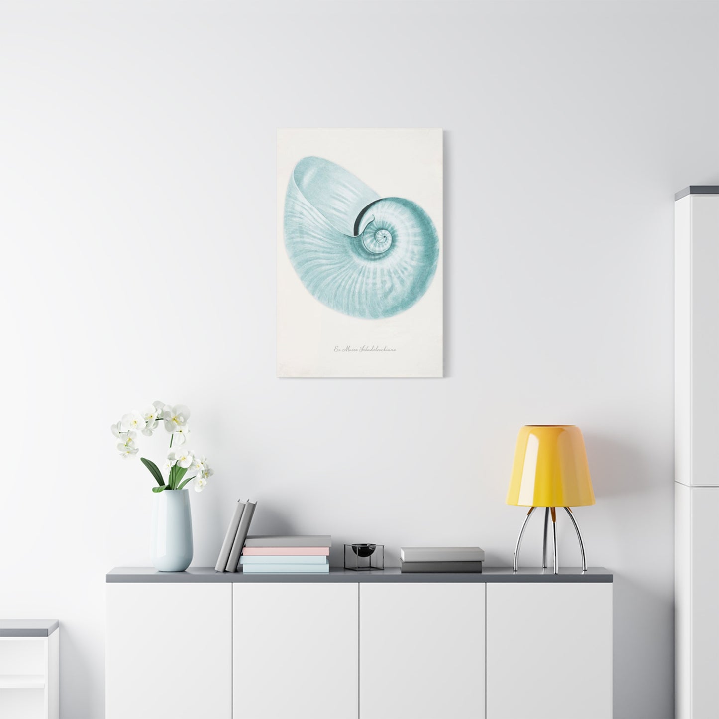 Beautiful Blue Shell Shapes Wall Art & Canvas Prints