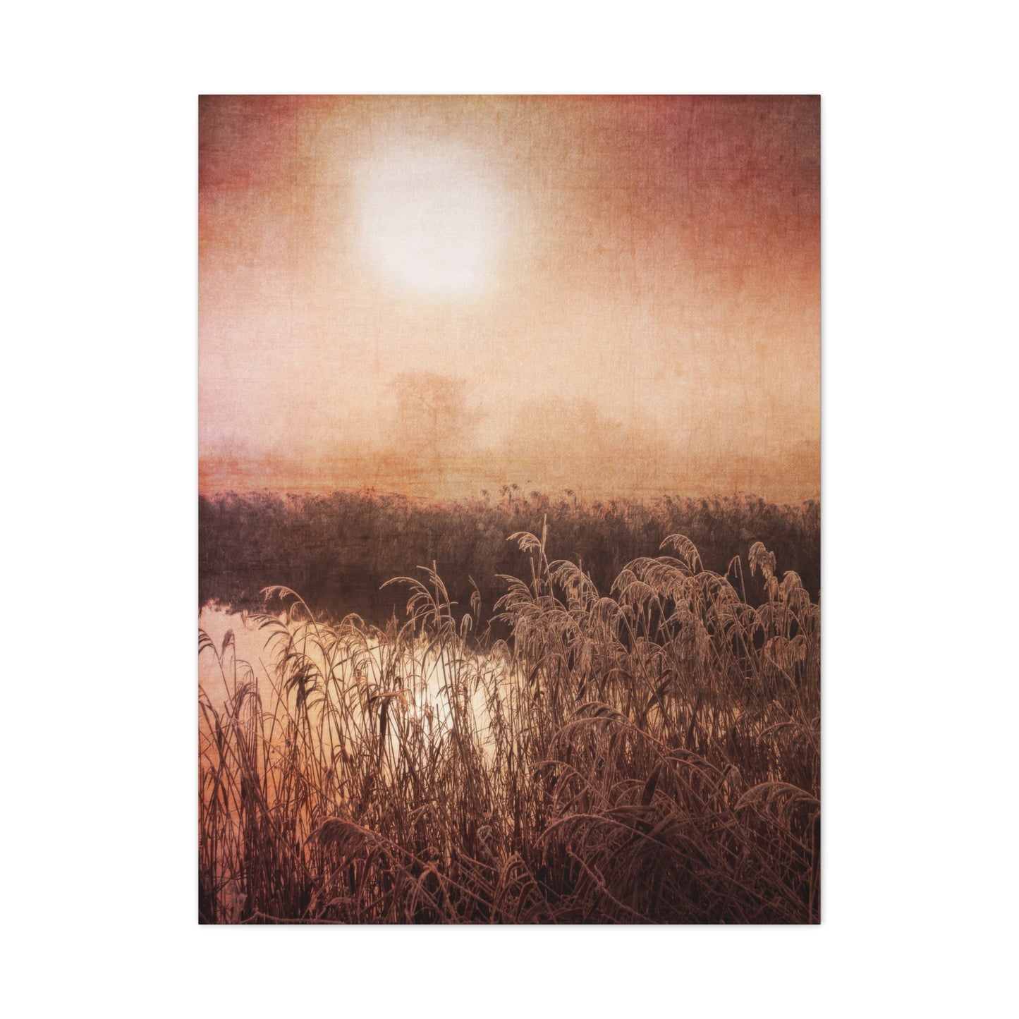 Golden Hour Marsh Wall Art & Canvas Prints