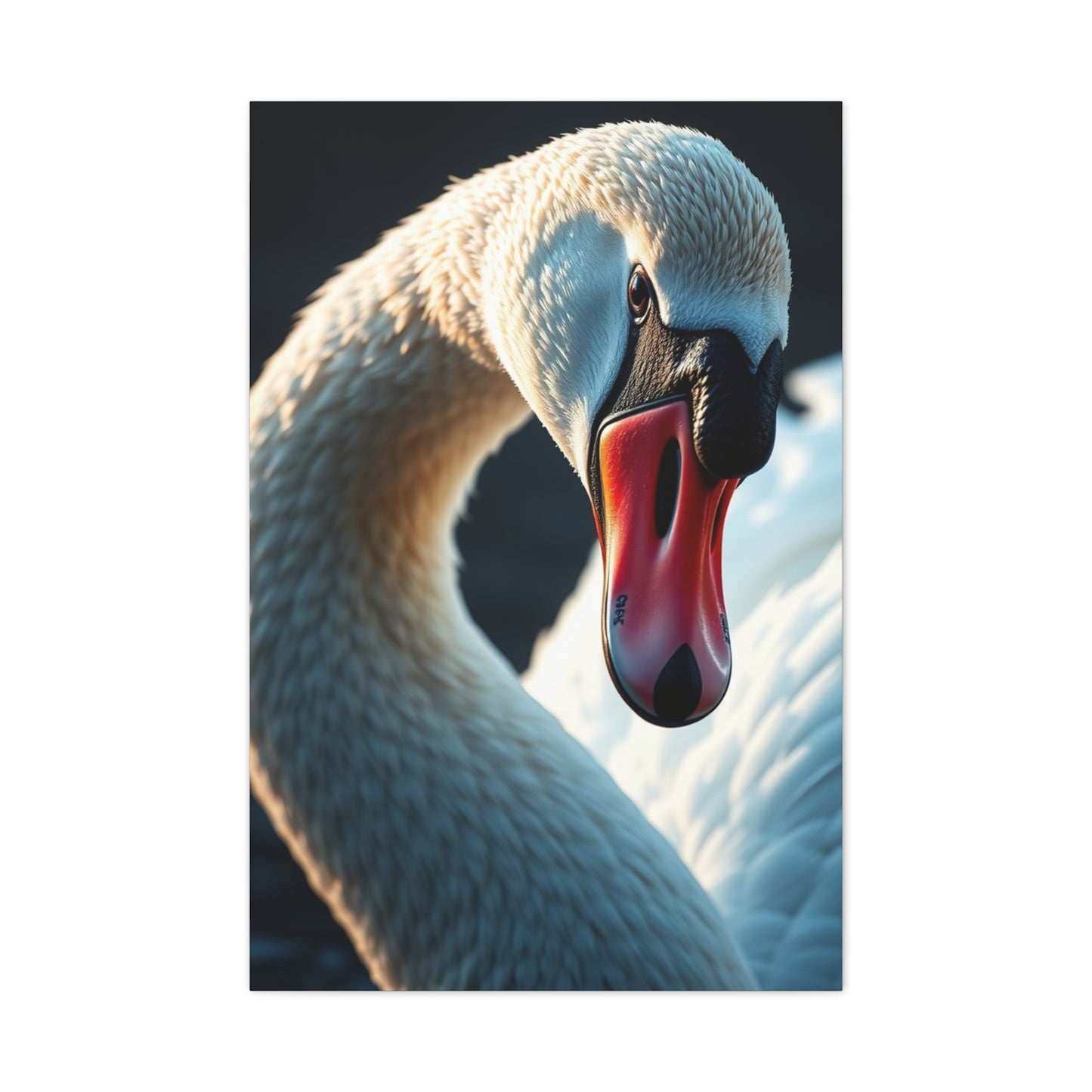 Swan Art Canvas Art 3 Wall Art & Canvas Print