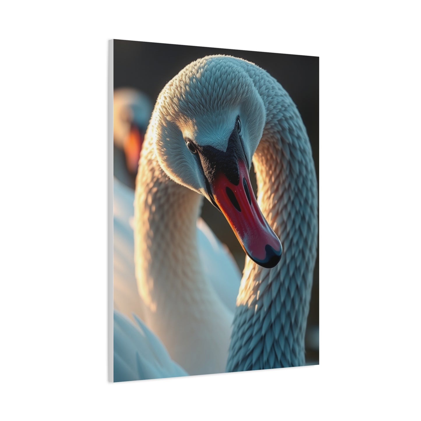 Swan Art Canvas Art 7 Wall Art & Canvas Print