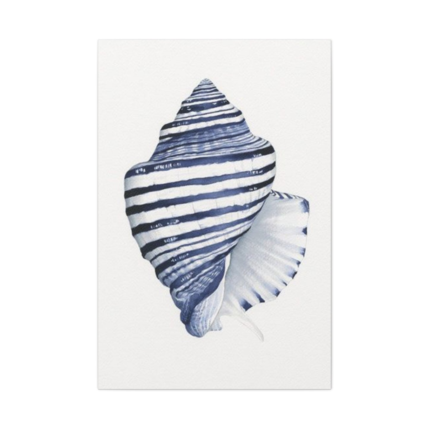 Blue & White Shell Drawing Wall Art & Canvas Prints