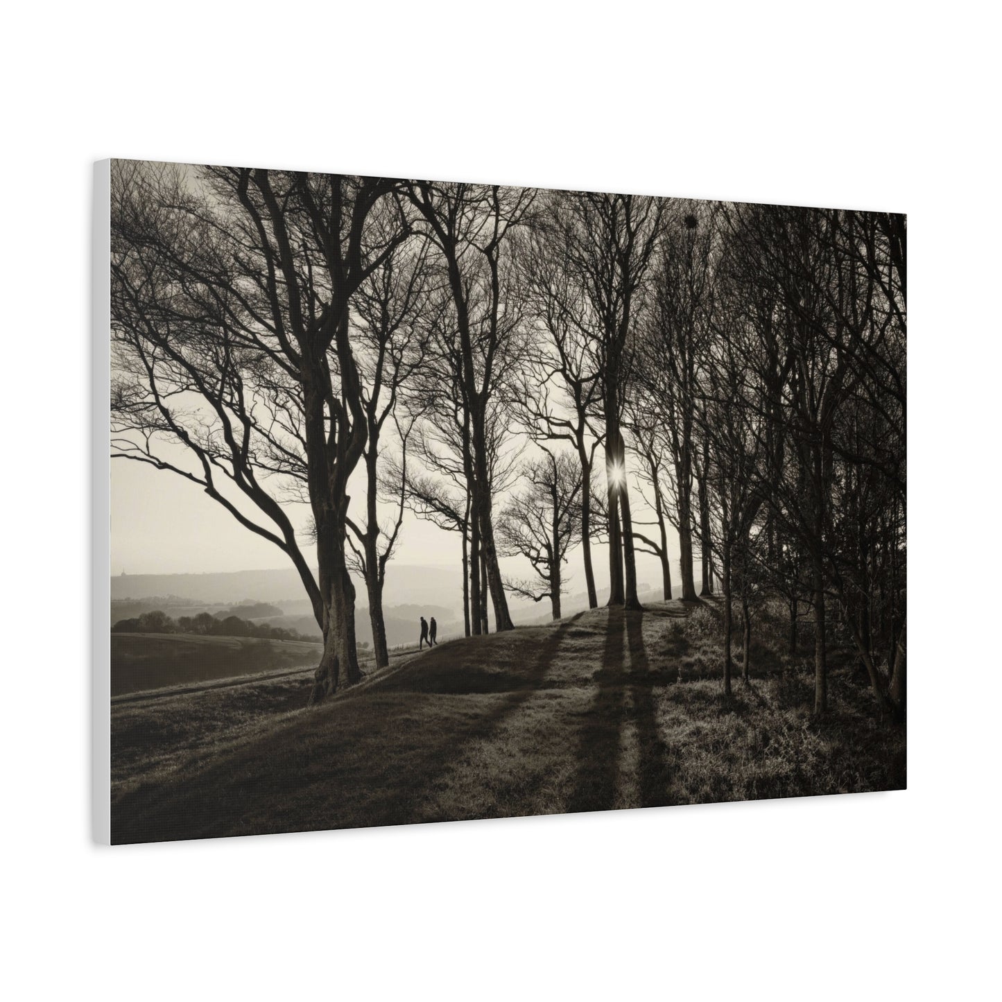 Forest Path at Dawn Wall Art & Canvas Prints