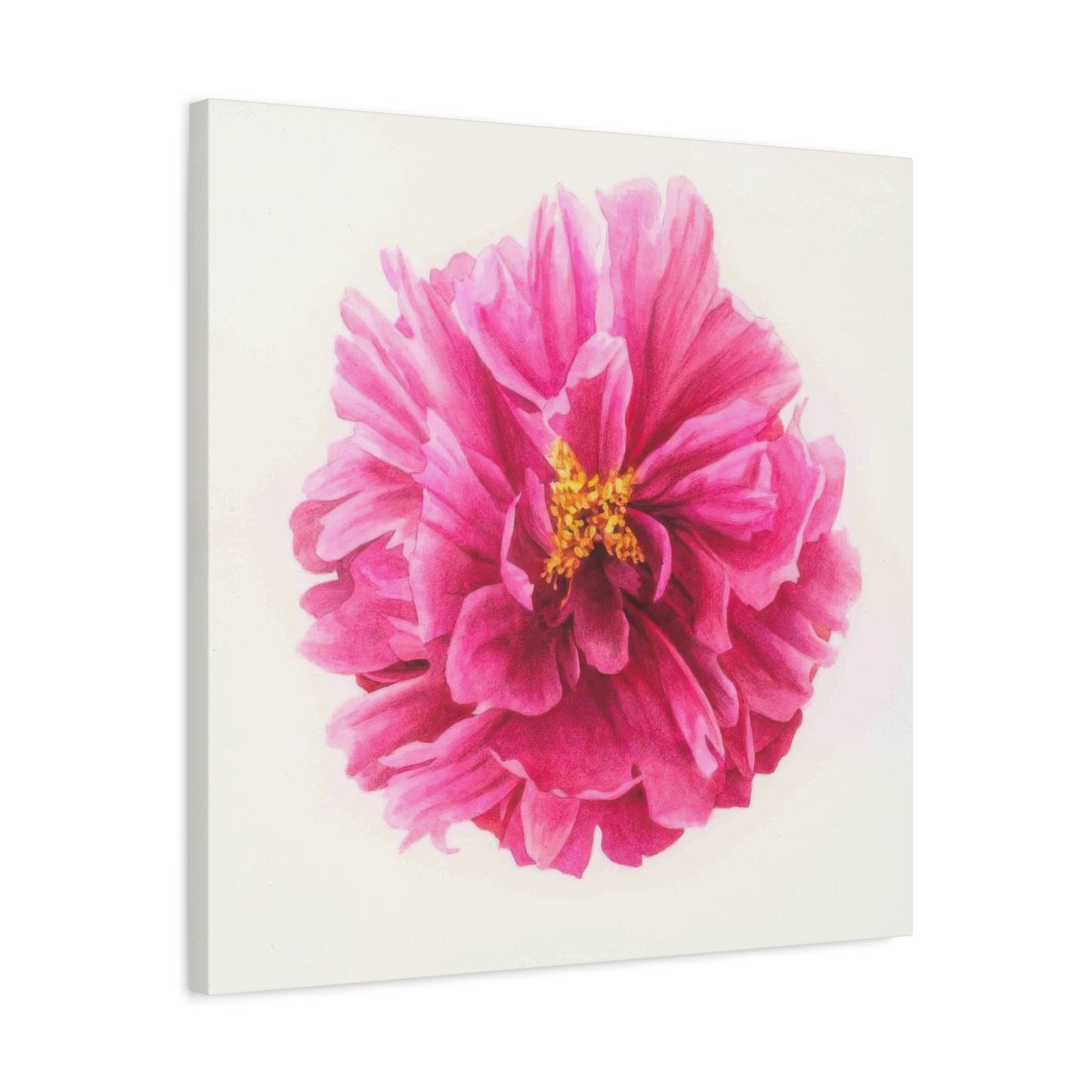 Grace Popp Pink Flower Head Wall Art & Canvas Prints