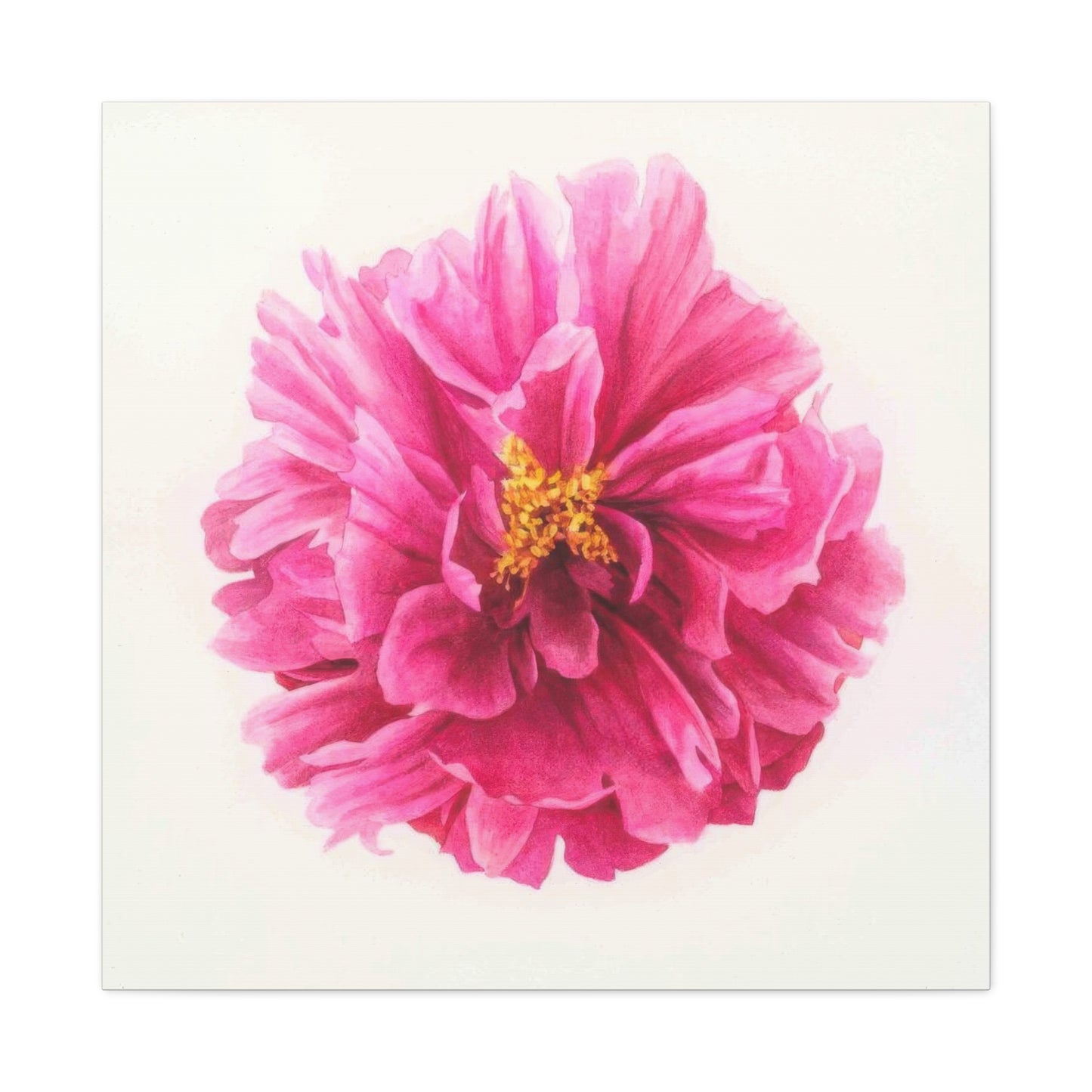 Grace Popp Pink Flower Head Wall Art & Canvas Prints