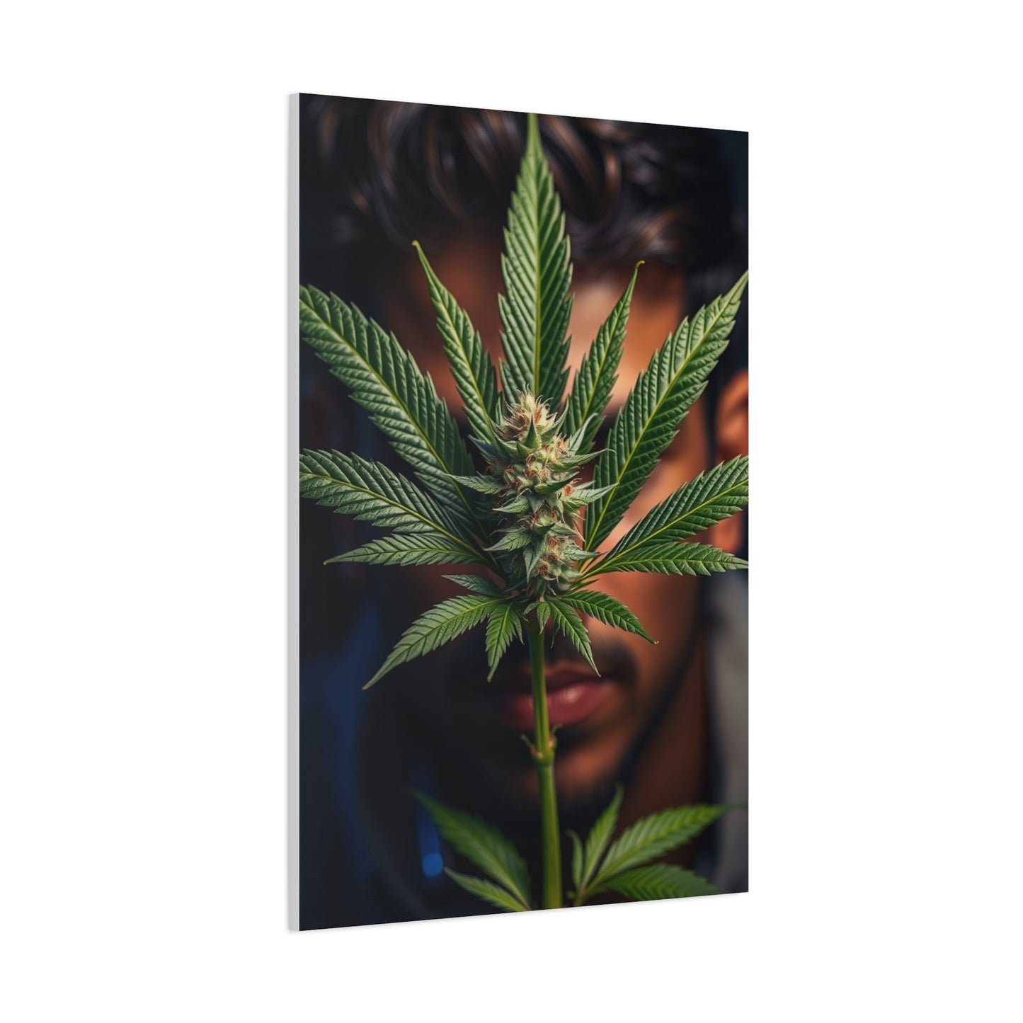 Marijuana Art Premium Canvas 19 Wall Art & Canvas Print