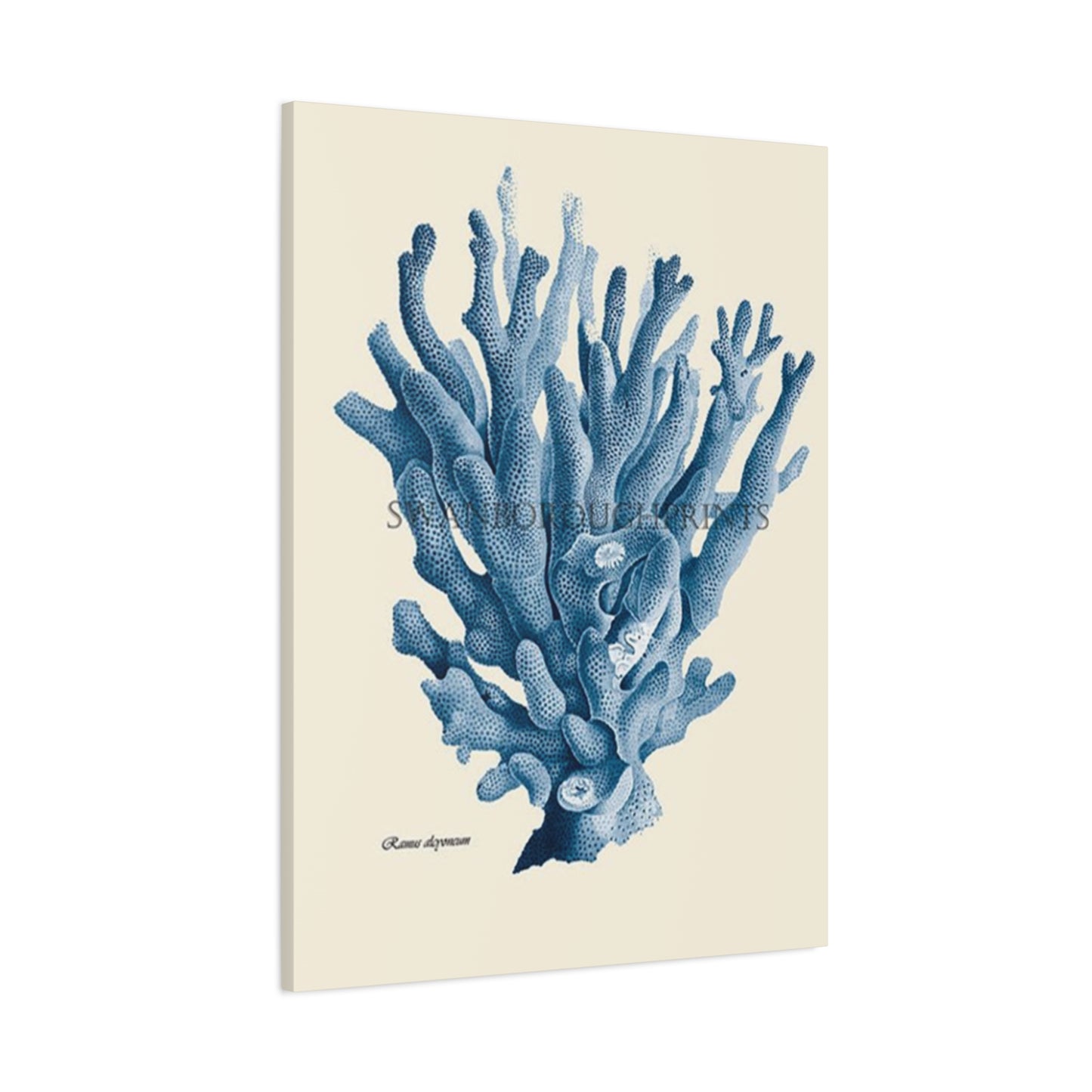 Beautiful Blue Shell Stem Poster Wall Art & Canvas Prints