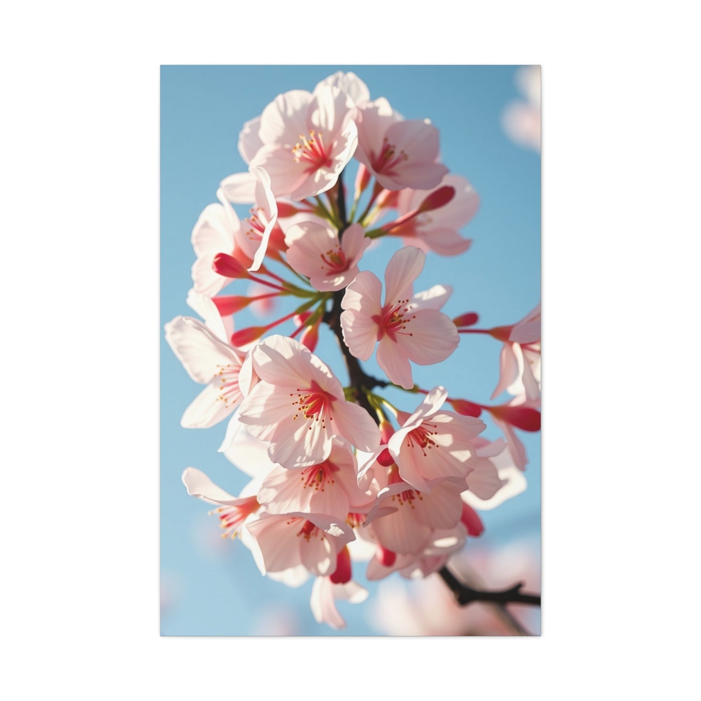 Sakura Elegance Canvas Wall Art & Canvas Print