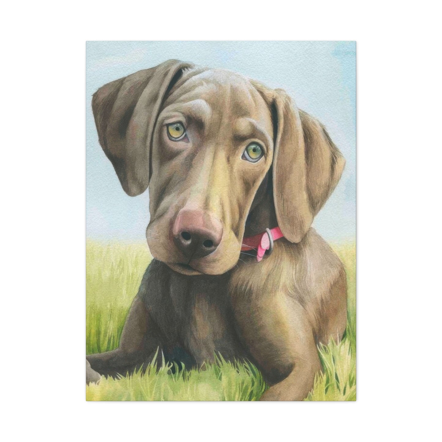Grace Popp The Dog Wall Art & Canvas Prints