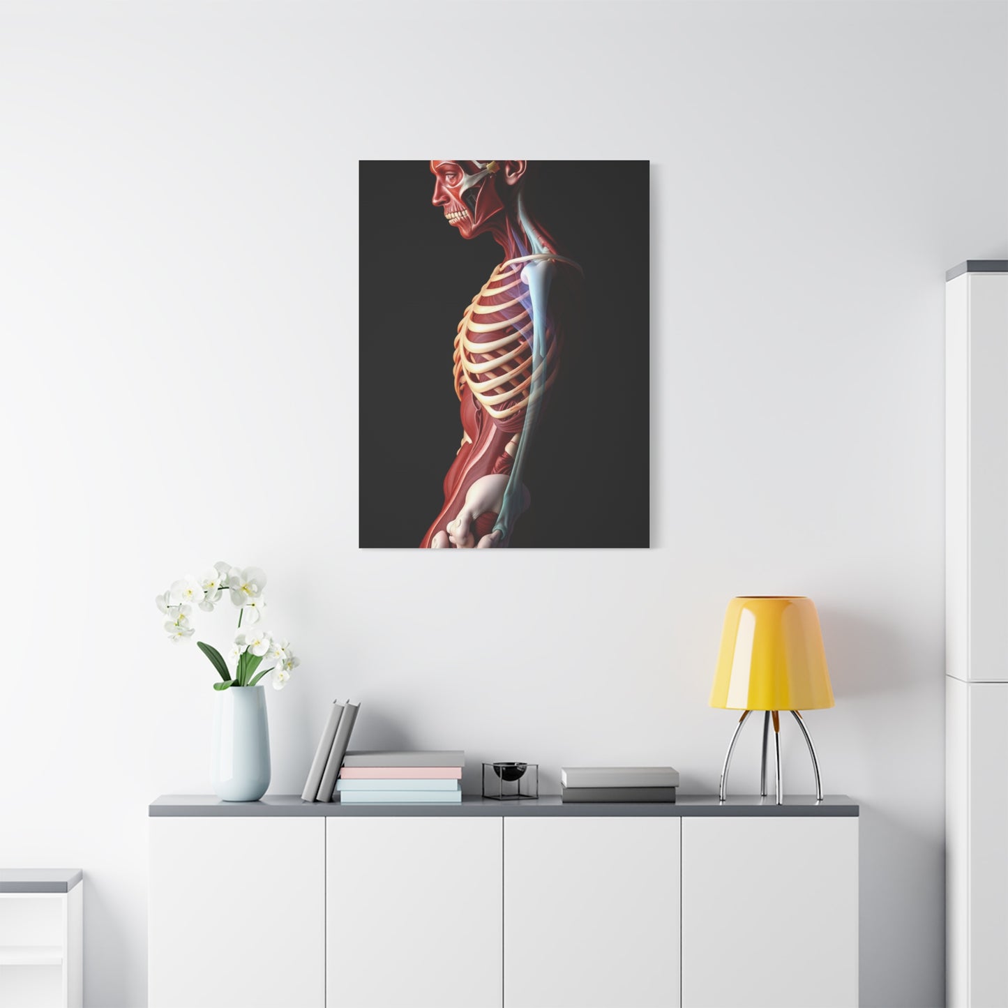 Supreme Art Collection Anatomy Wall Art & Canvas Print