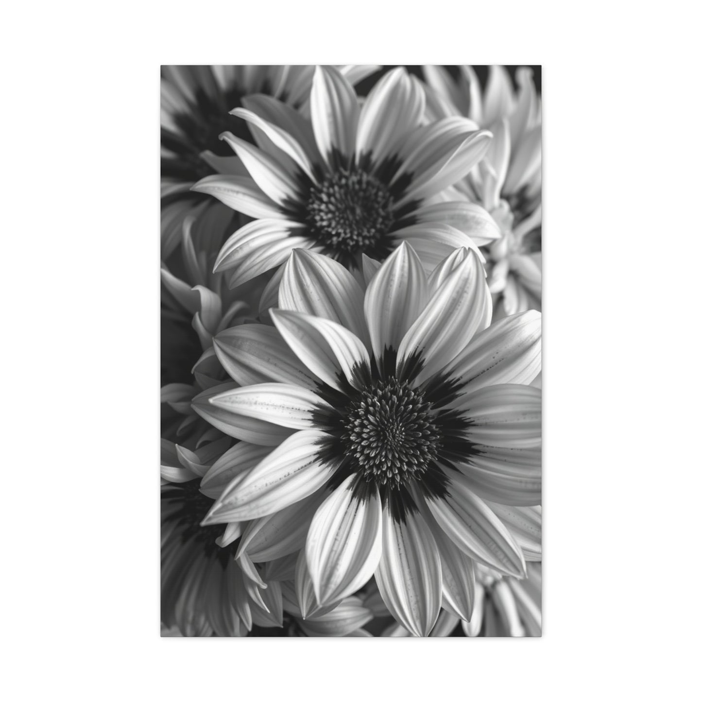 Ebon & Ivory Petal Harmony Wall Art & Canvas Print