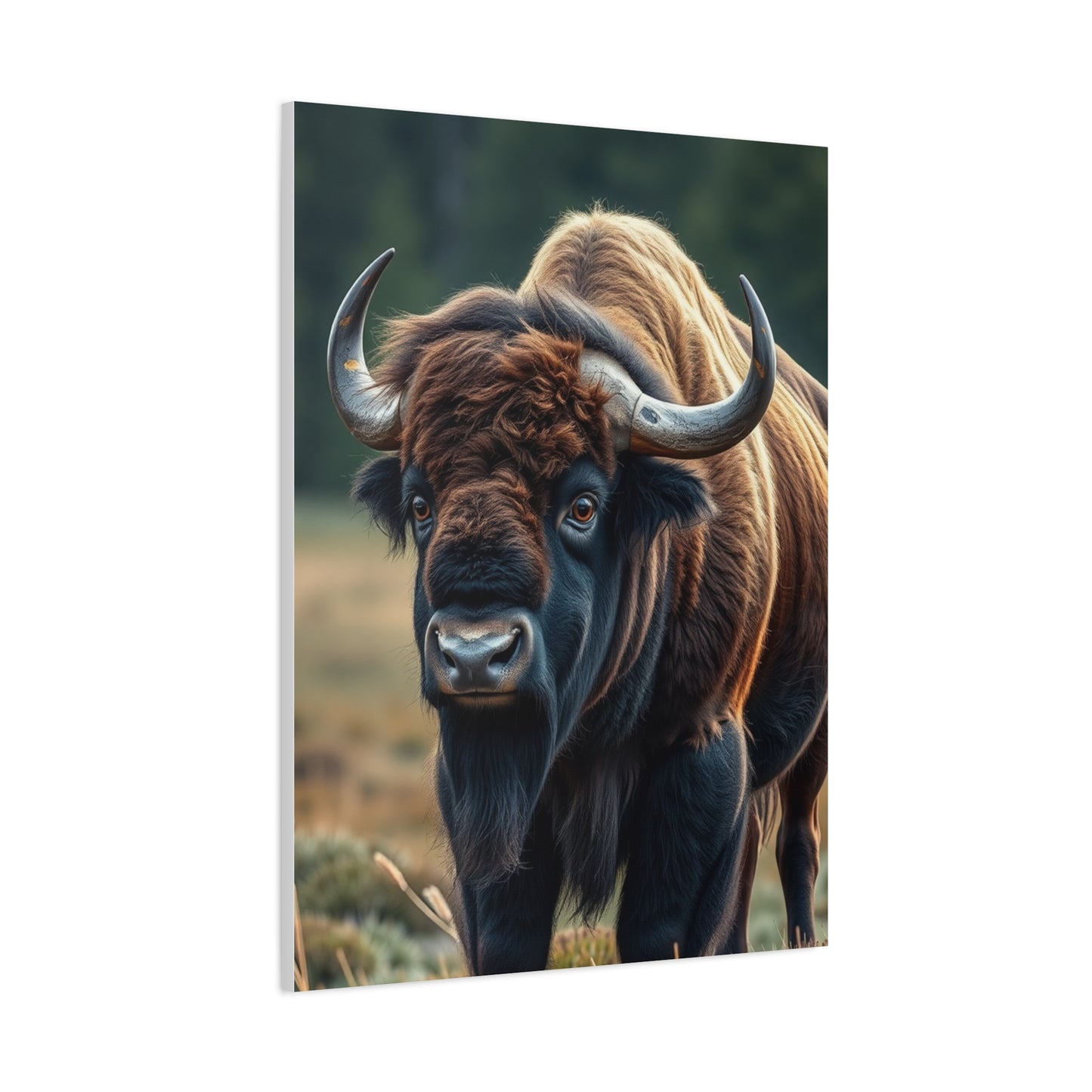 Regal Plains Portraiture Wall Art & Canvas Print