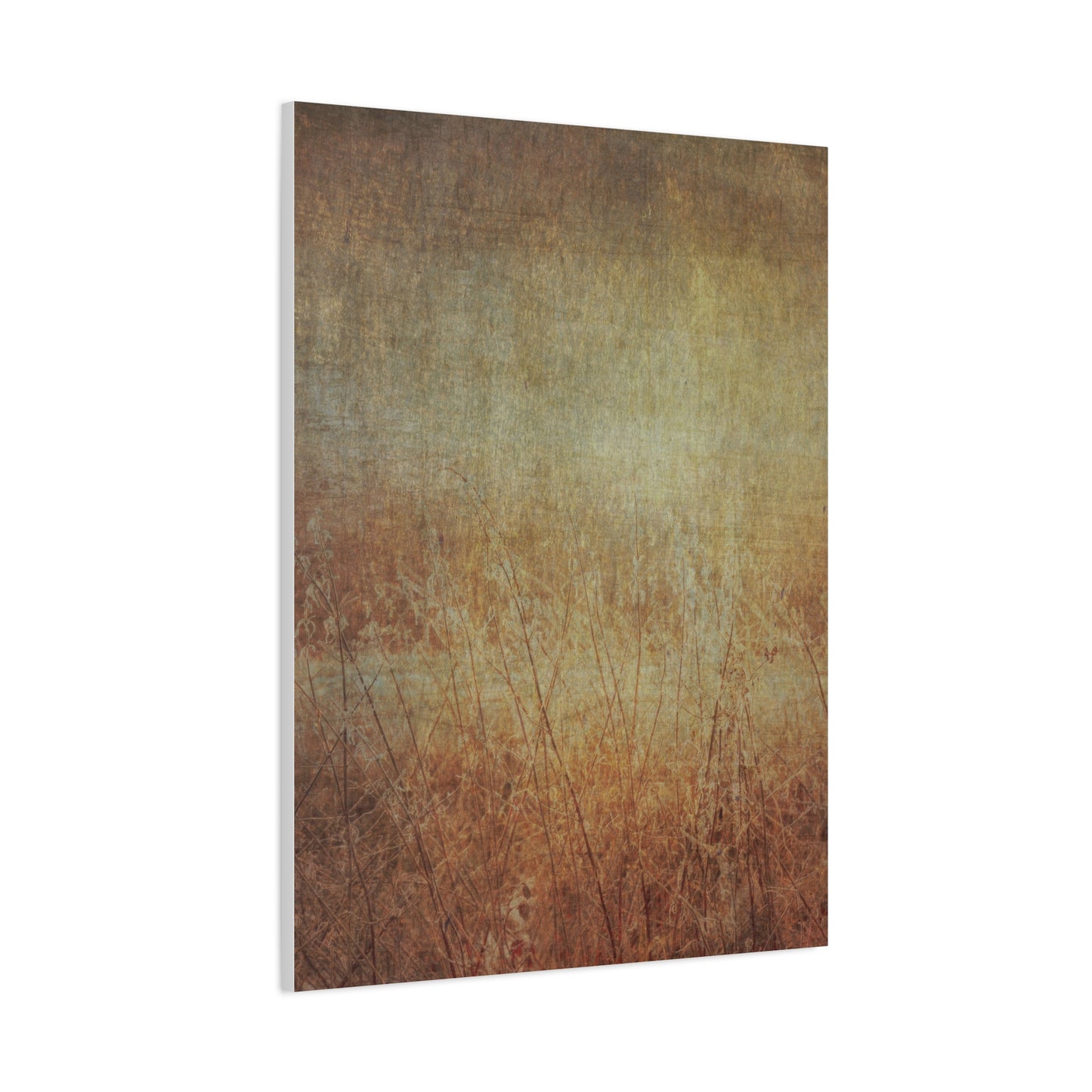 Golden Fields Wall Art & Canvas Prints
