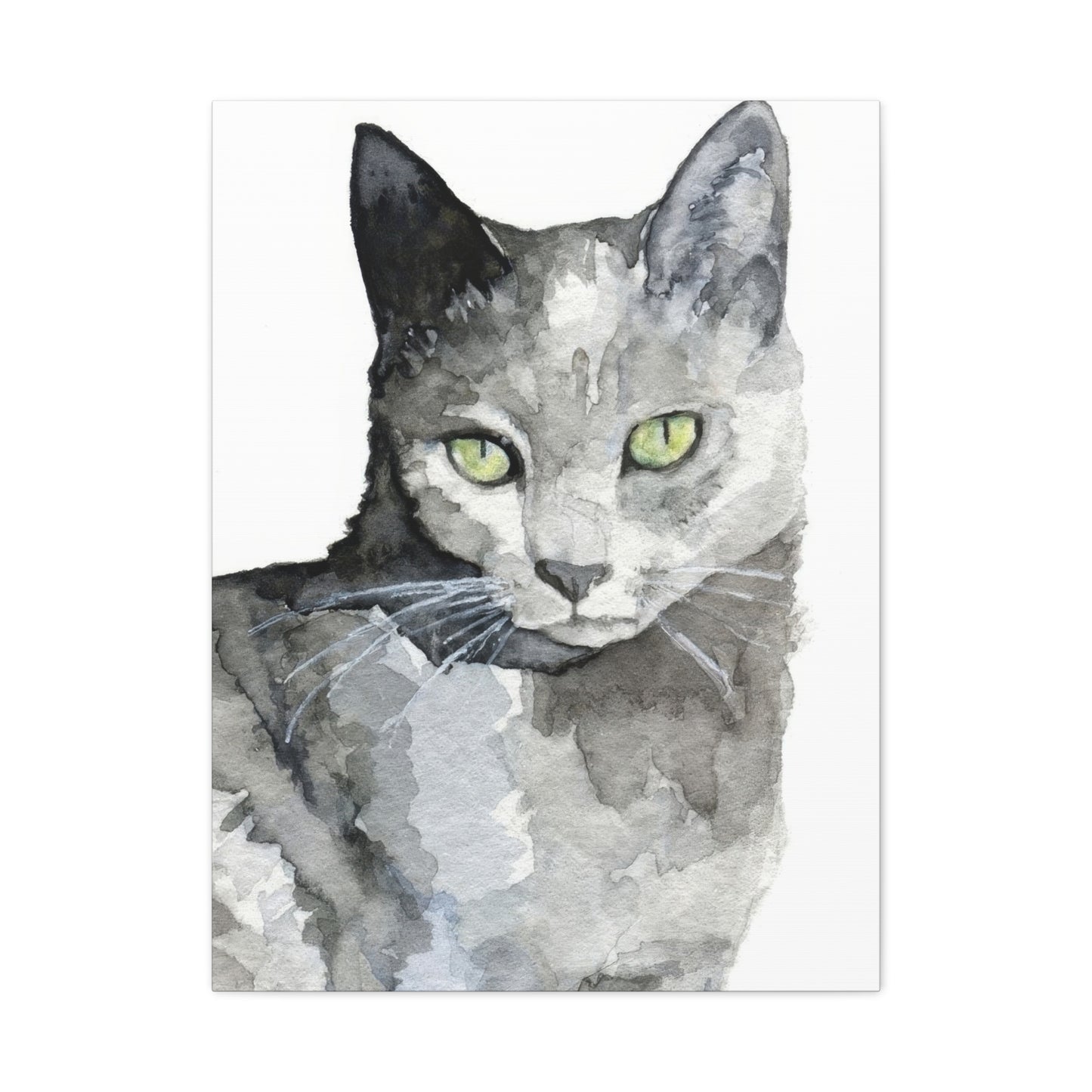 Cat Grey Wall Art & Canvas Prints