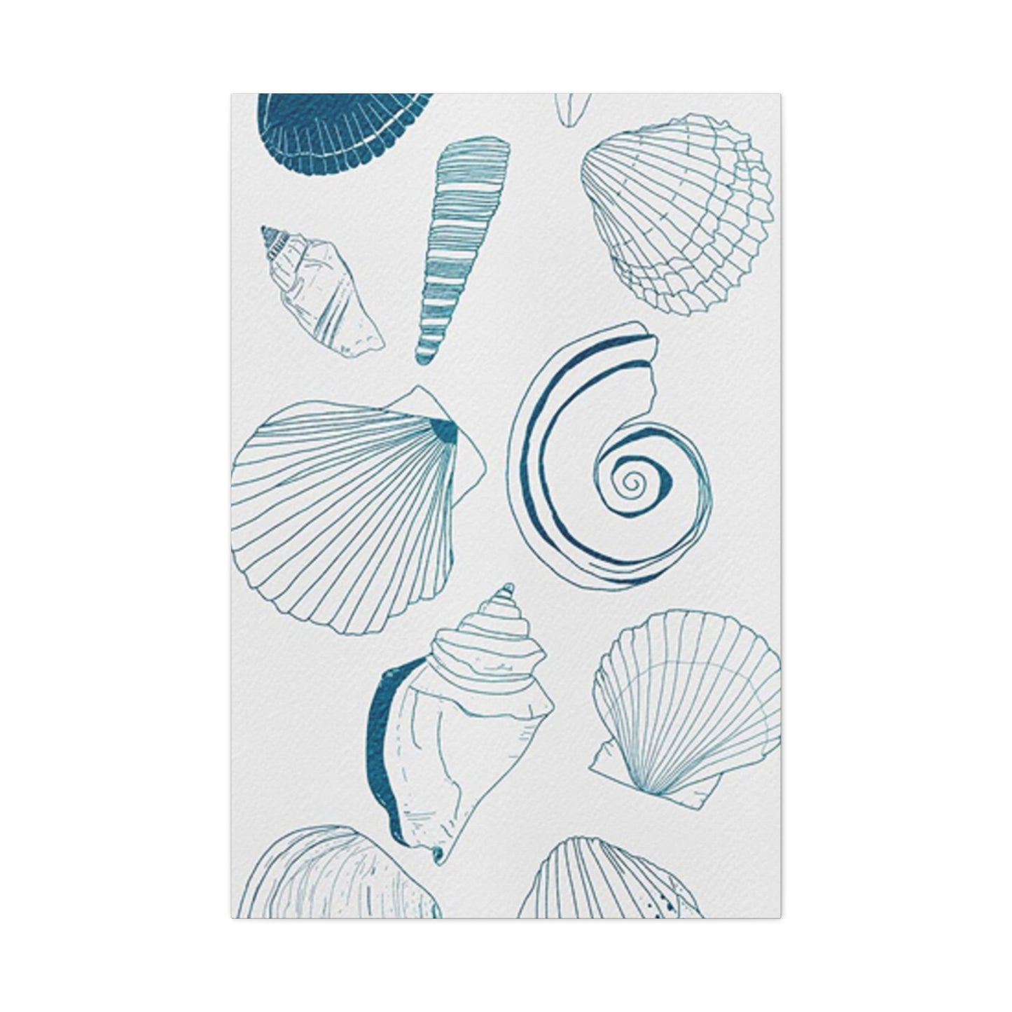 Beautiful Sea Shells Poster Wall Art & Canvas Prints