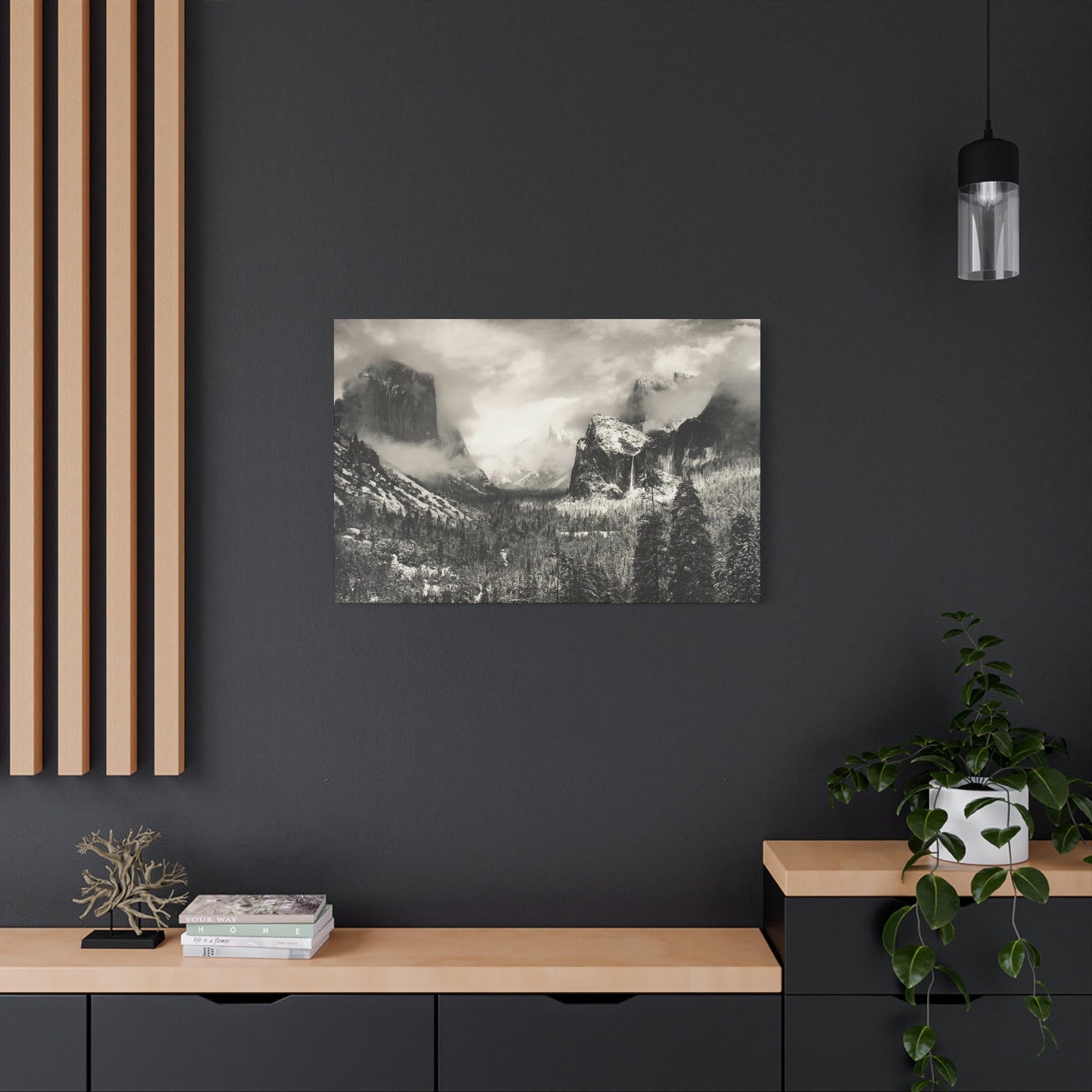 Ansel Wall Art & Canvas Prints