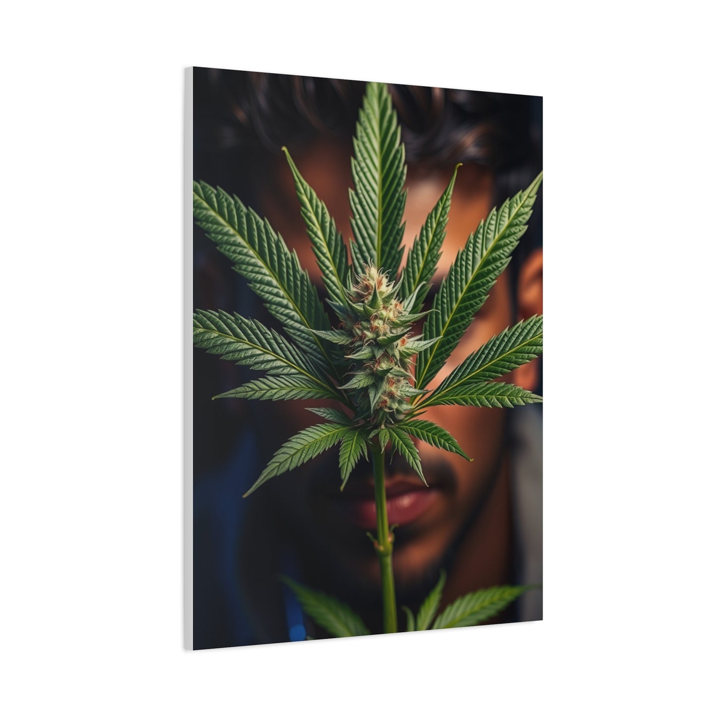 Marijuana Art Premium Canvas 19 Wall Art & Canvas Print