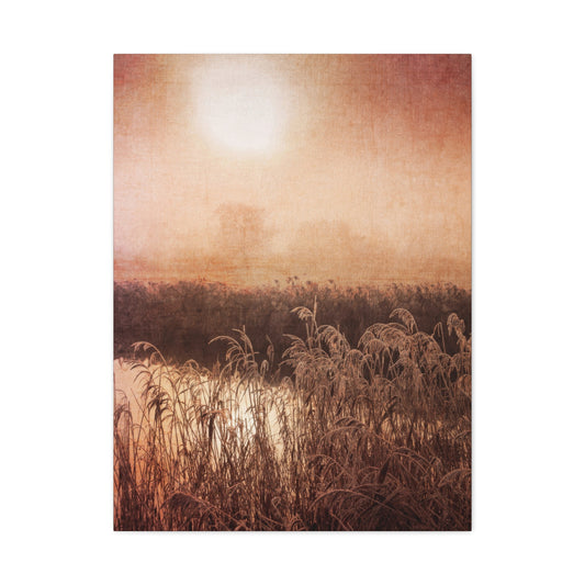 Golden Hour Marsh Wall Art & Canvas Prints
