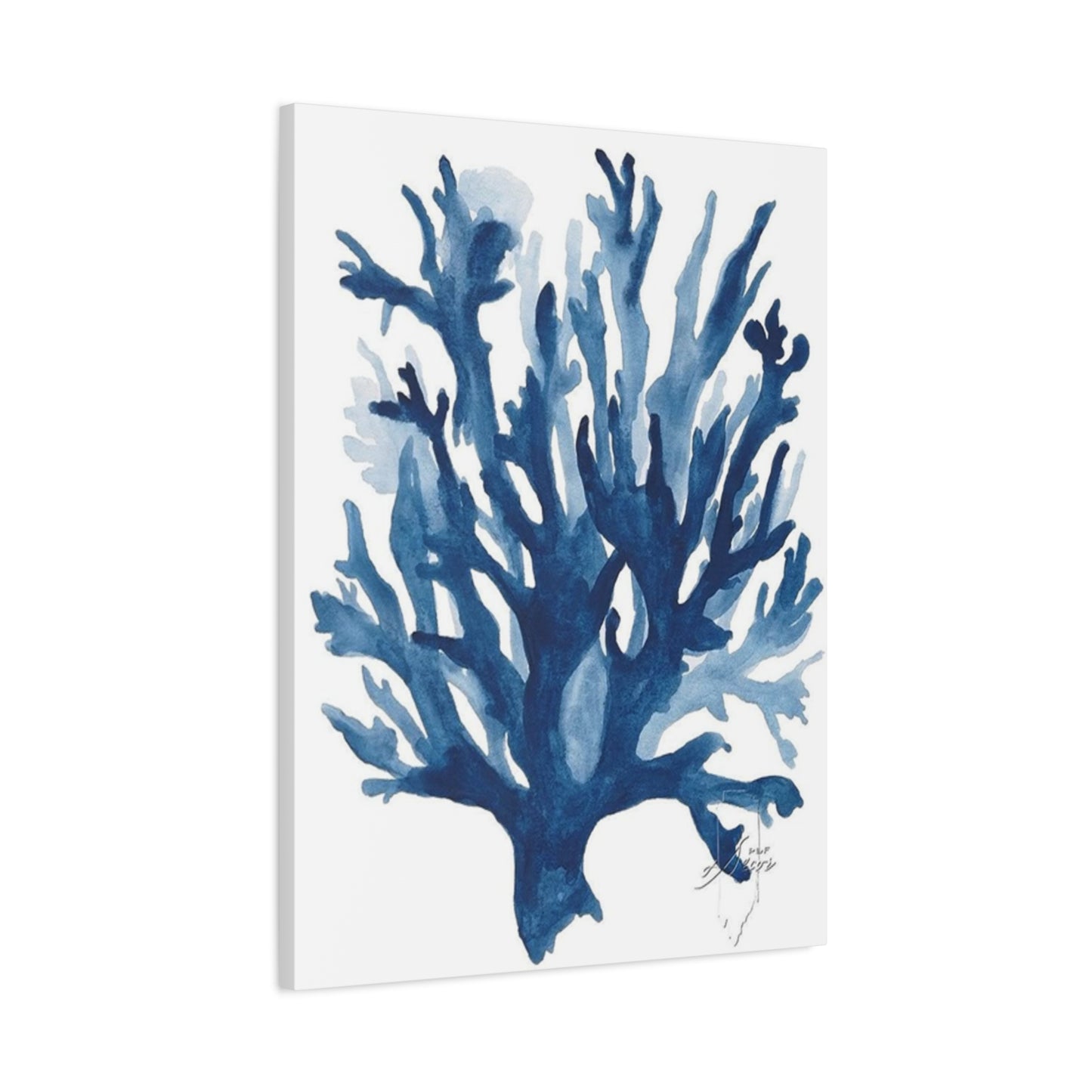 Amazing Sea Shells Stems Poster Wall Art & Canvas Prints