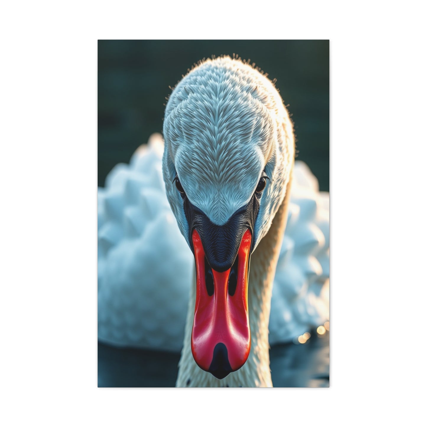 Swan Art Canvas Art 9 Wall Art & Canvas Print