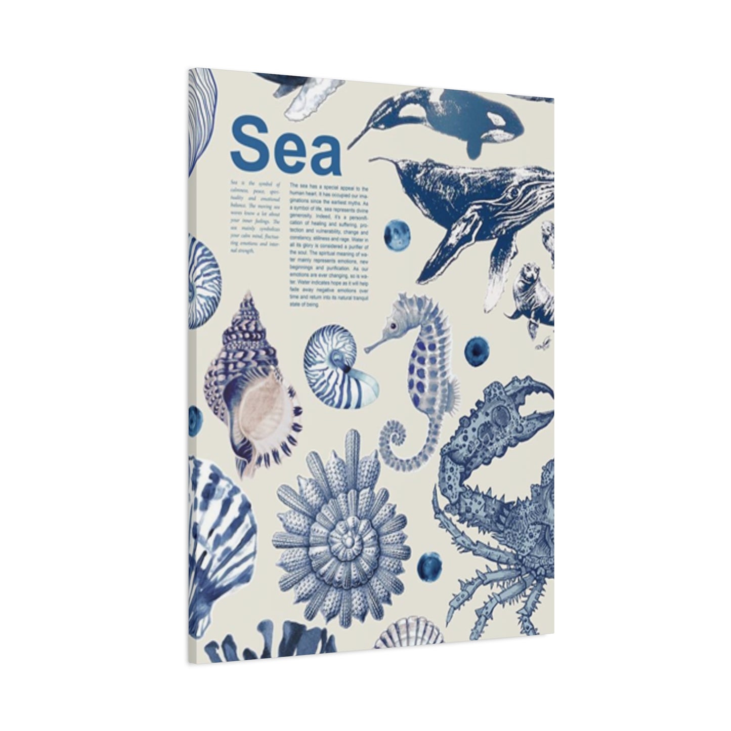 Beautiful Sea Creatures Poster Wall Art & Canvas Prints