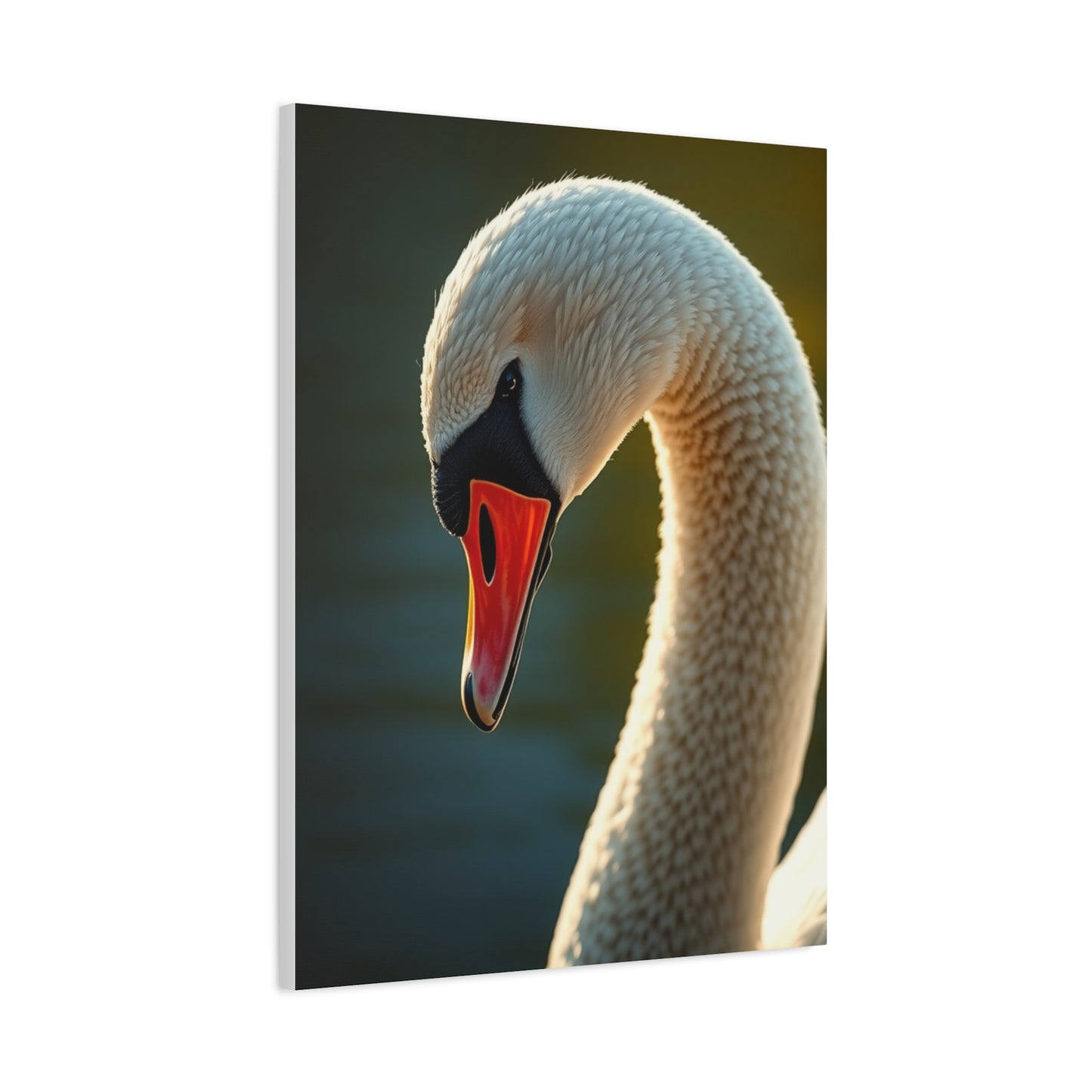 Swan Art Canvas Art 1 Wall Art & Canvas Print
