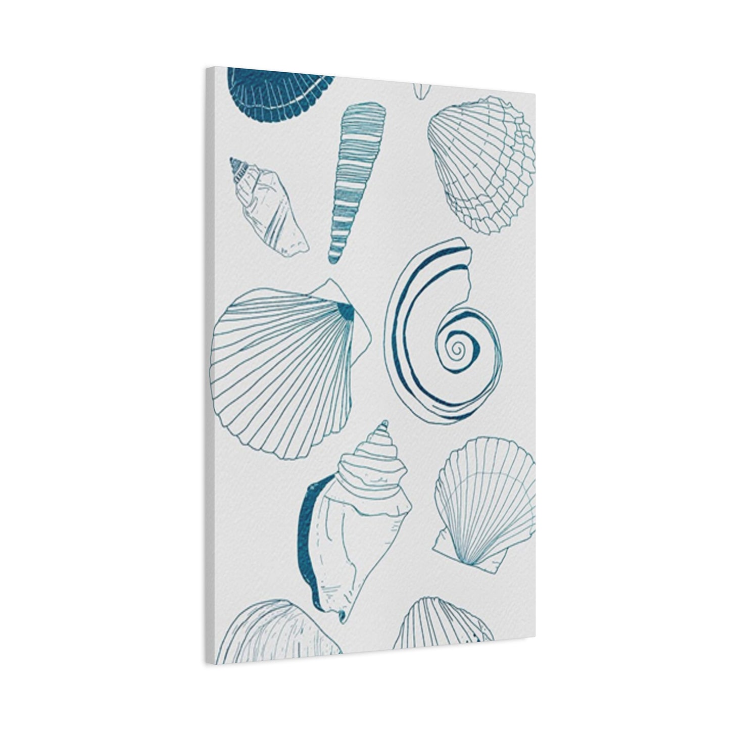 Beautiful Sea Shells Poster Wall Art & Canvas Prints