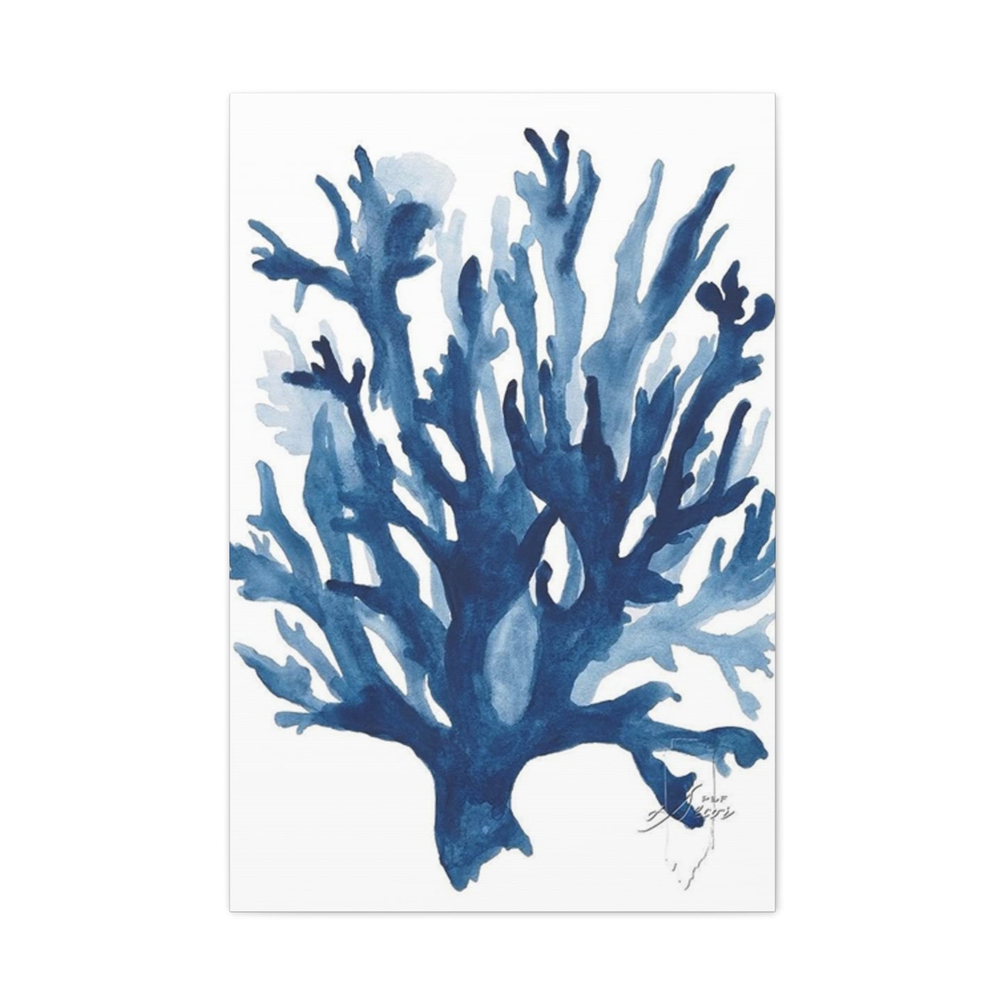 Amazing Sea Shells Stems Poster Wall Art & Canvas Prints