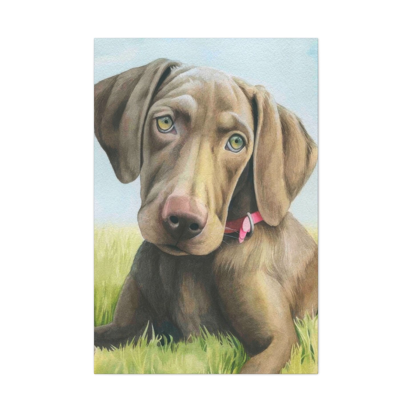 Grace Popp The Dog Wall Art & Canvas Prints