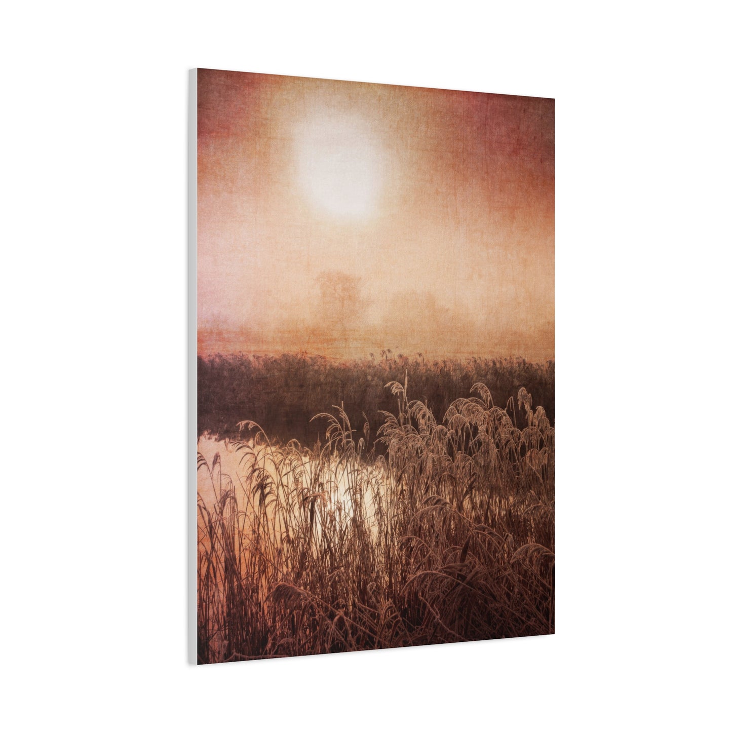 Golden Hour Marsh Wall Art & Canvas Prints
