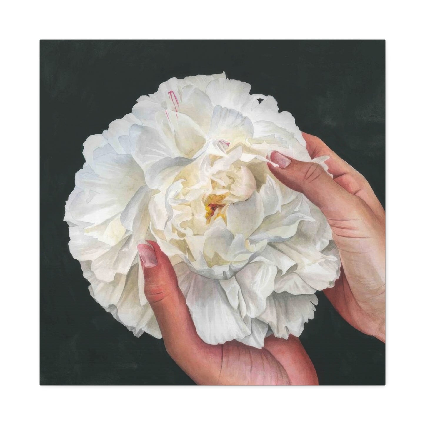 Grace Popp Holding White Flower Wall Art & Canvas Prints