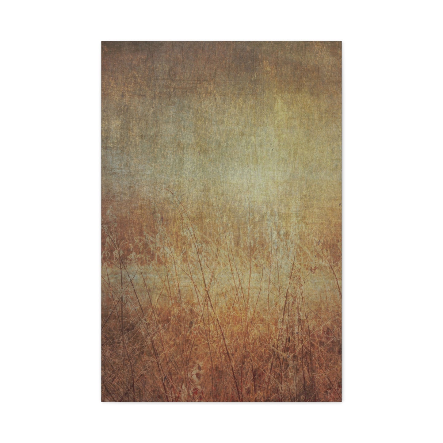 Golden Fields Wall Art & Canvas Prints