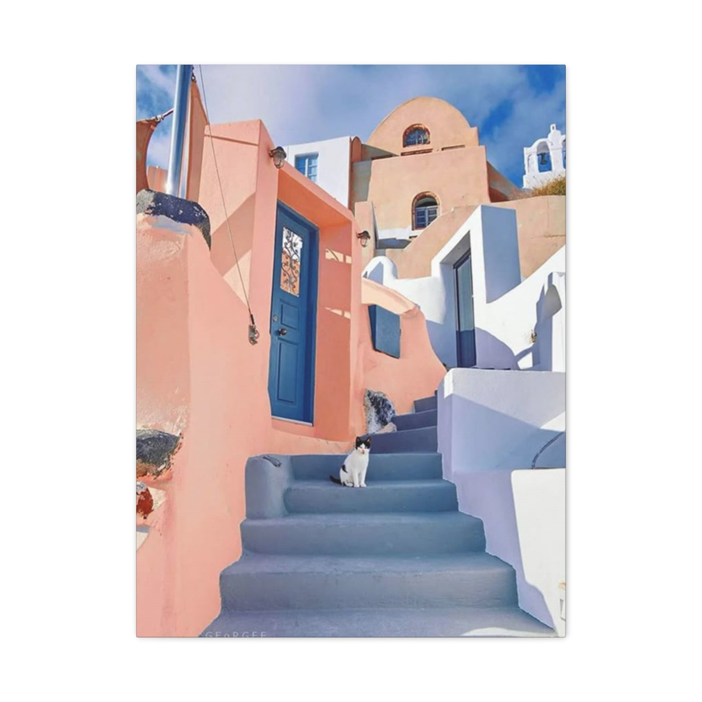 Cat On Street Of Spain Wall Art & Canvas Prints