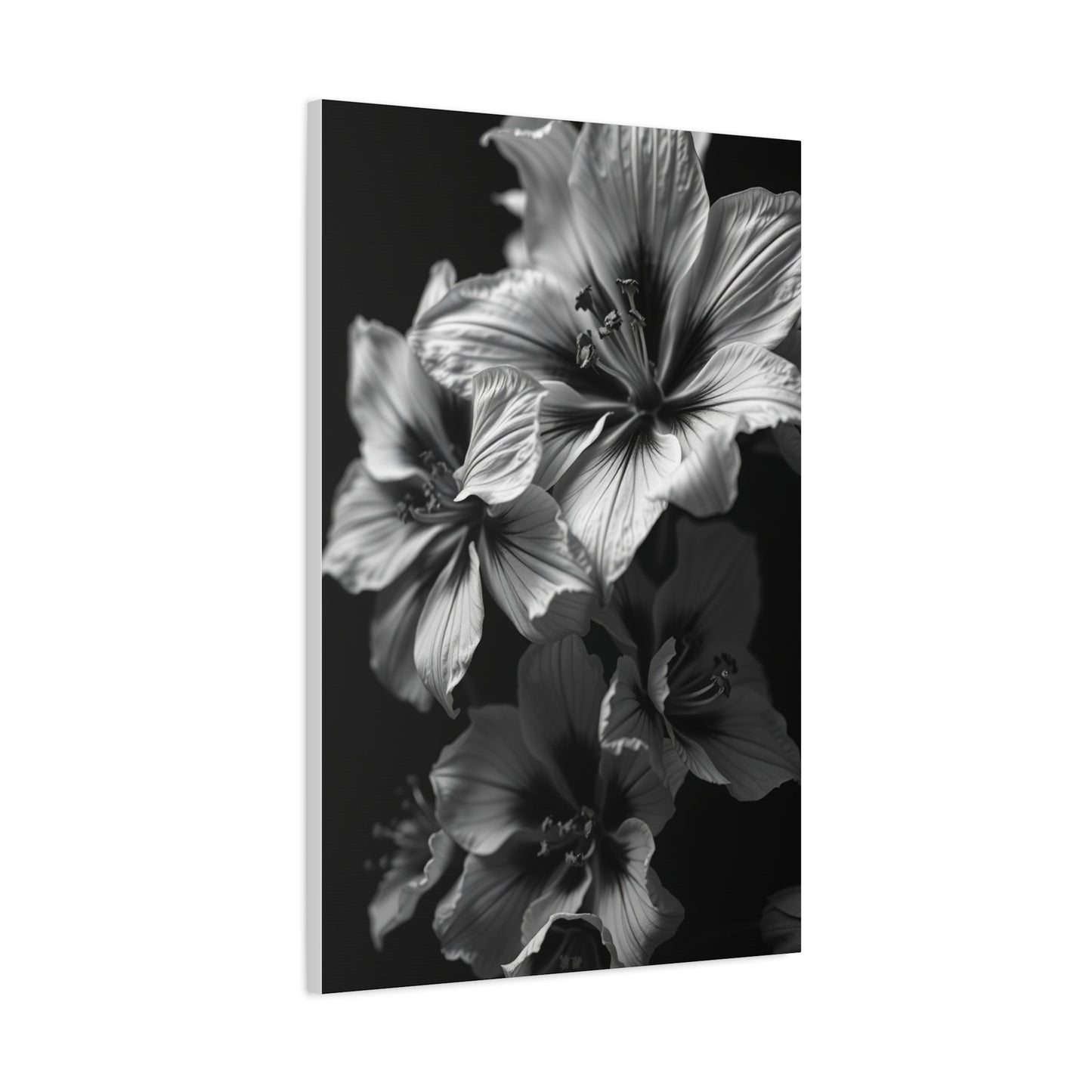 Noir & Blanc Floral Symphony Wall Art & Canvas Print