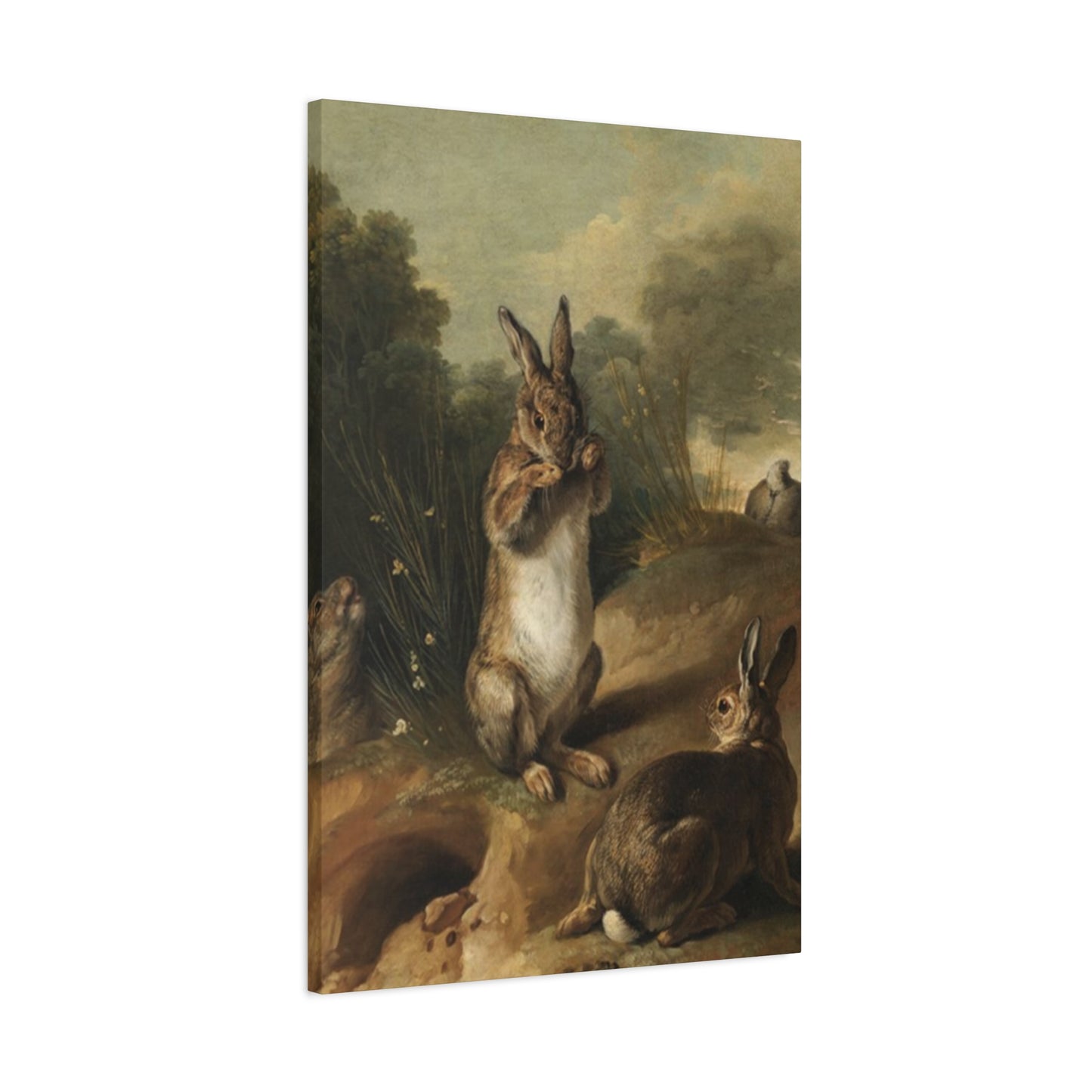 Rabbit In Wild Painting Wall Art & Canvas Prints