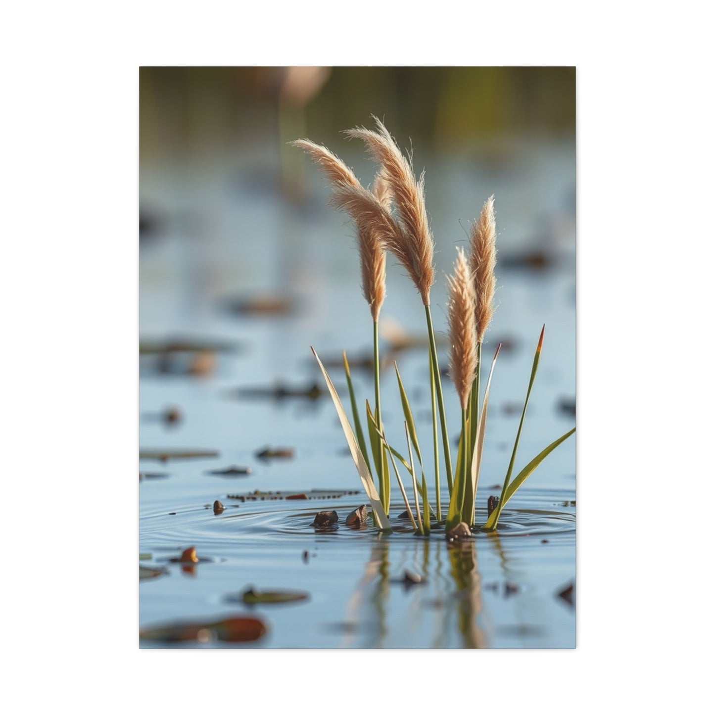 Marsh & Swamp Art Canvas Art 5 Wall Art & Canvas Print