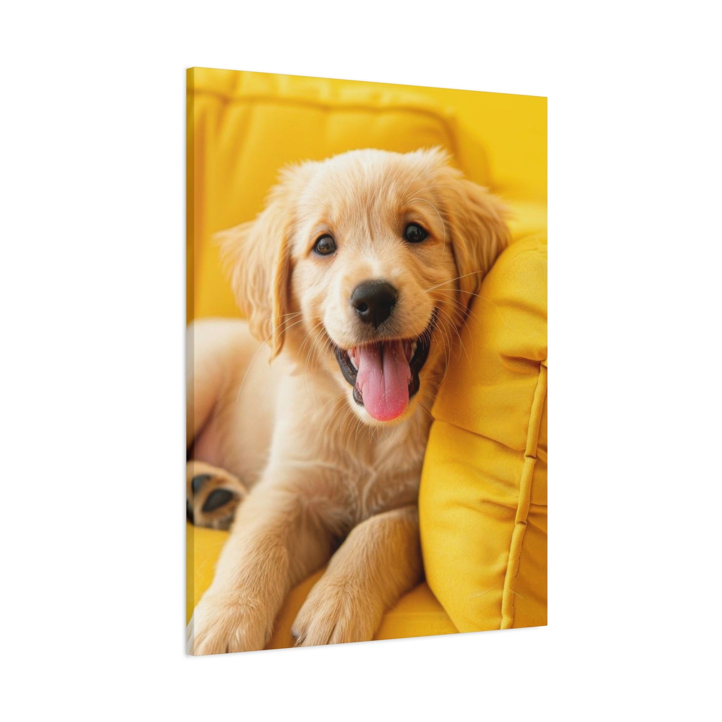 Golden Retriever On Sofa Dog Wall Art & Canvas Prints