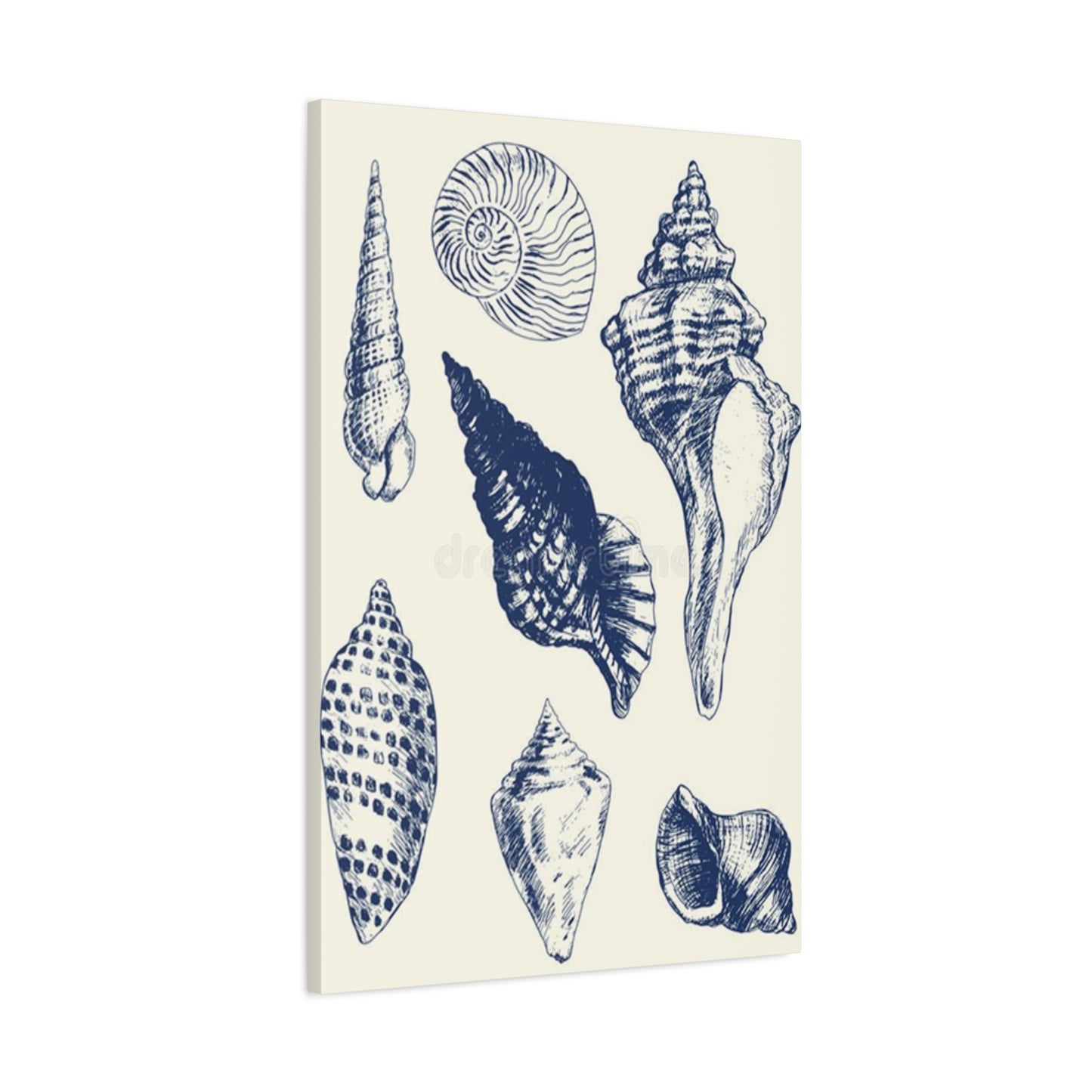 Blue Different Shell Shapes Drawing Wall Art & Canvas Prints