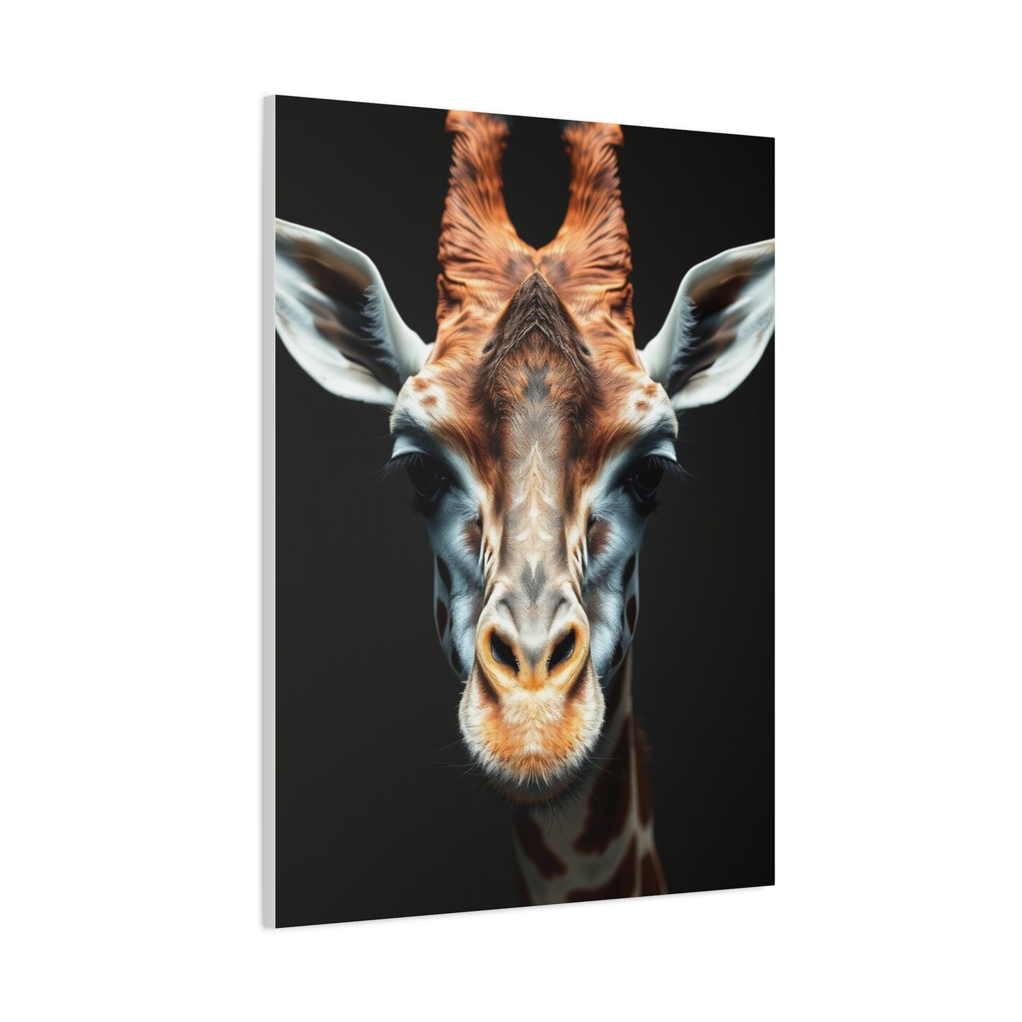 Lofty Silhouette Display wall art & canvas print