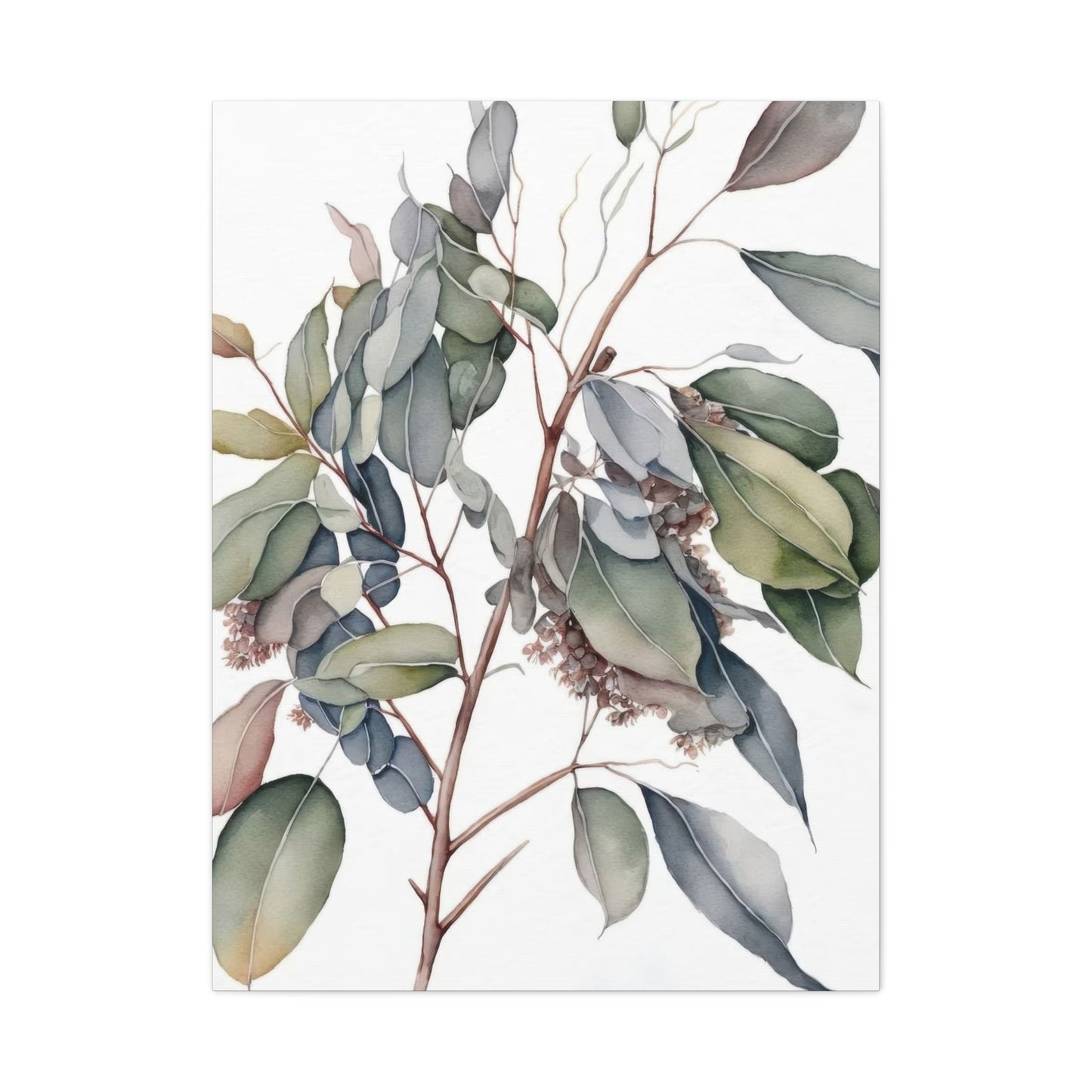 Eucalyptus Australian 2 Wall Art & Canvas Prints