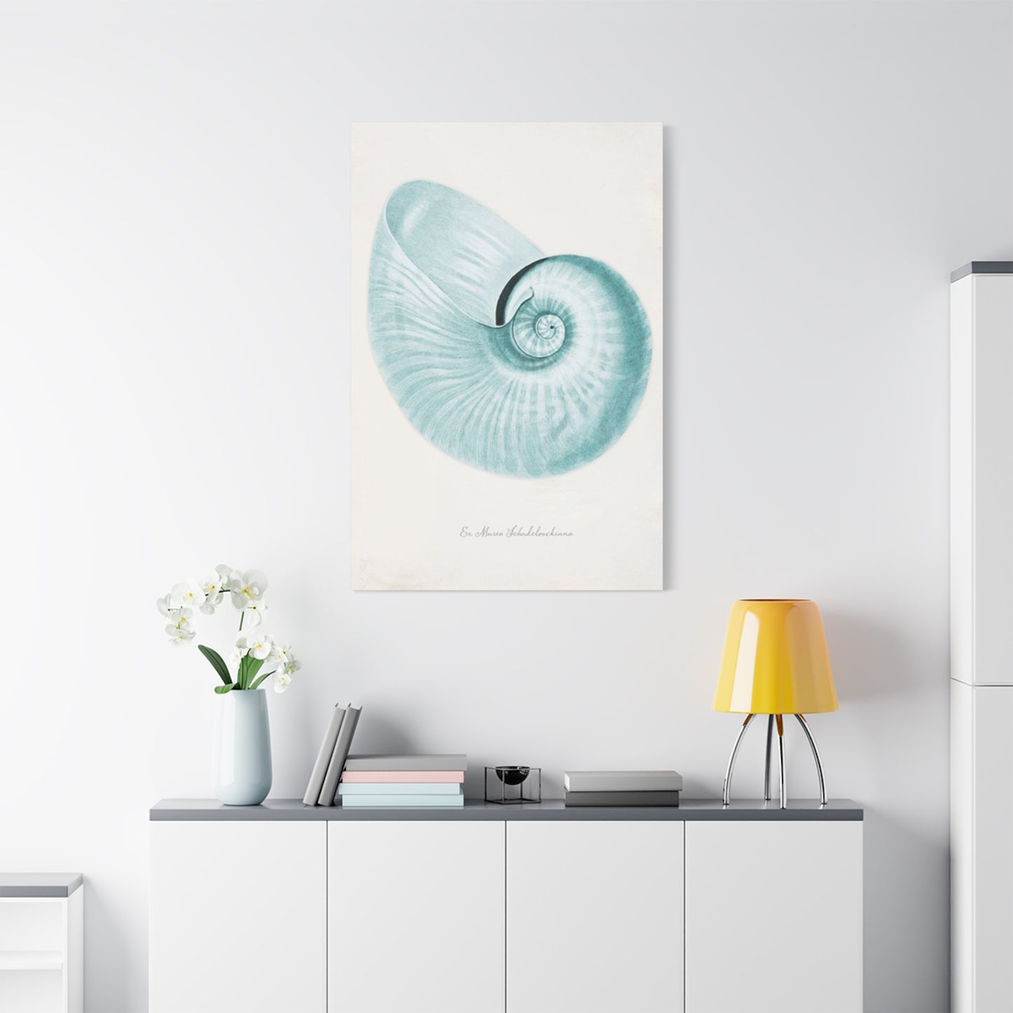 Beautiful Blue Shell Shapes Wall Art & Canvas Prints