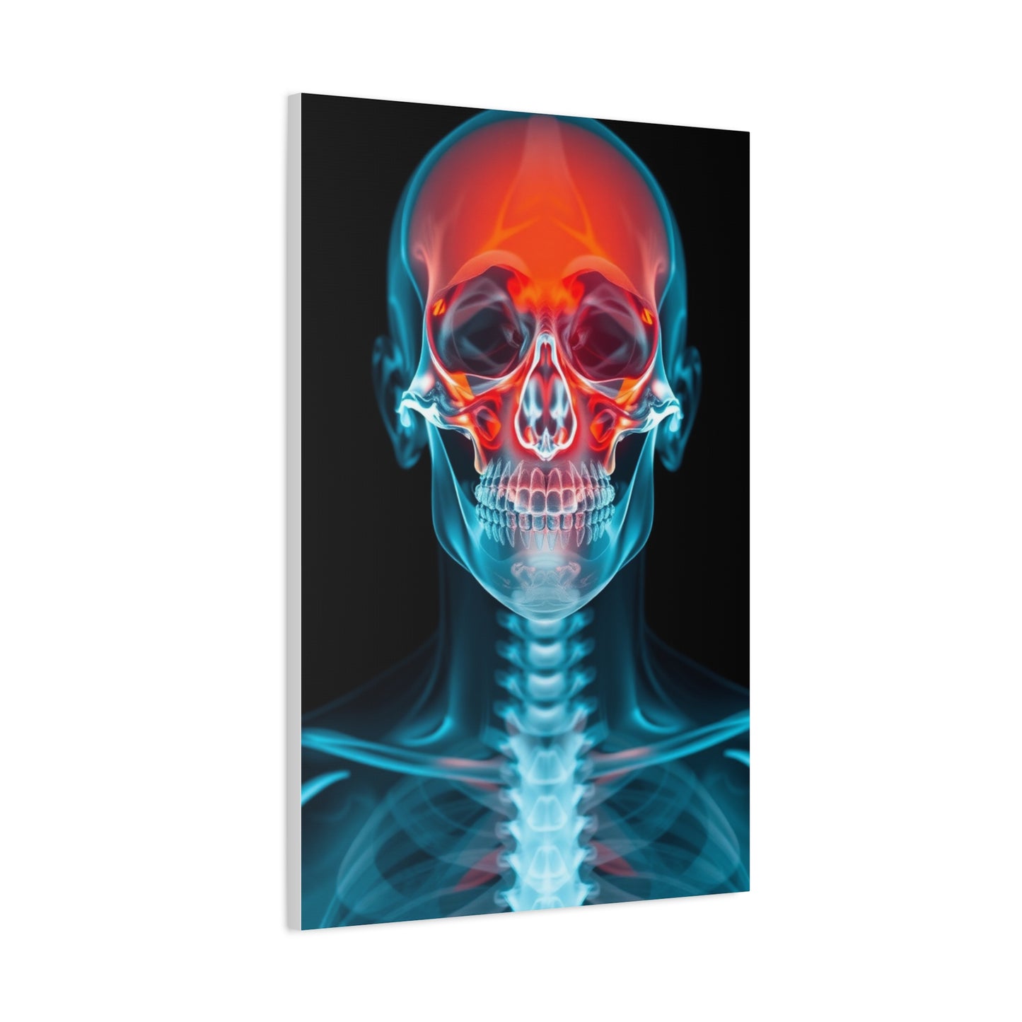 X-Ray Photography Art Supreme Gallery Wall Art & Canvas Print